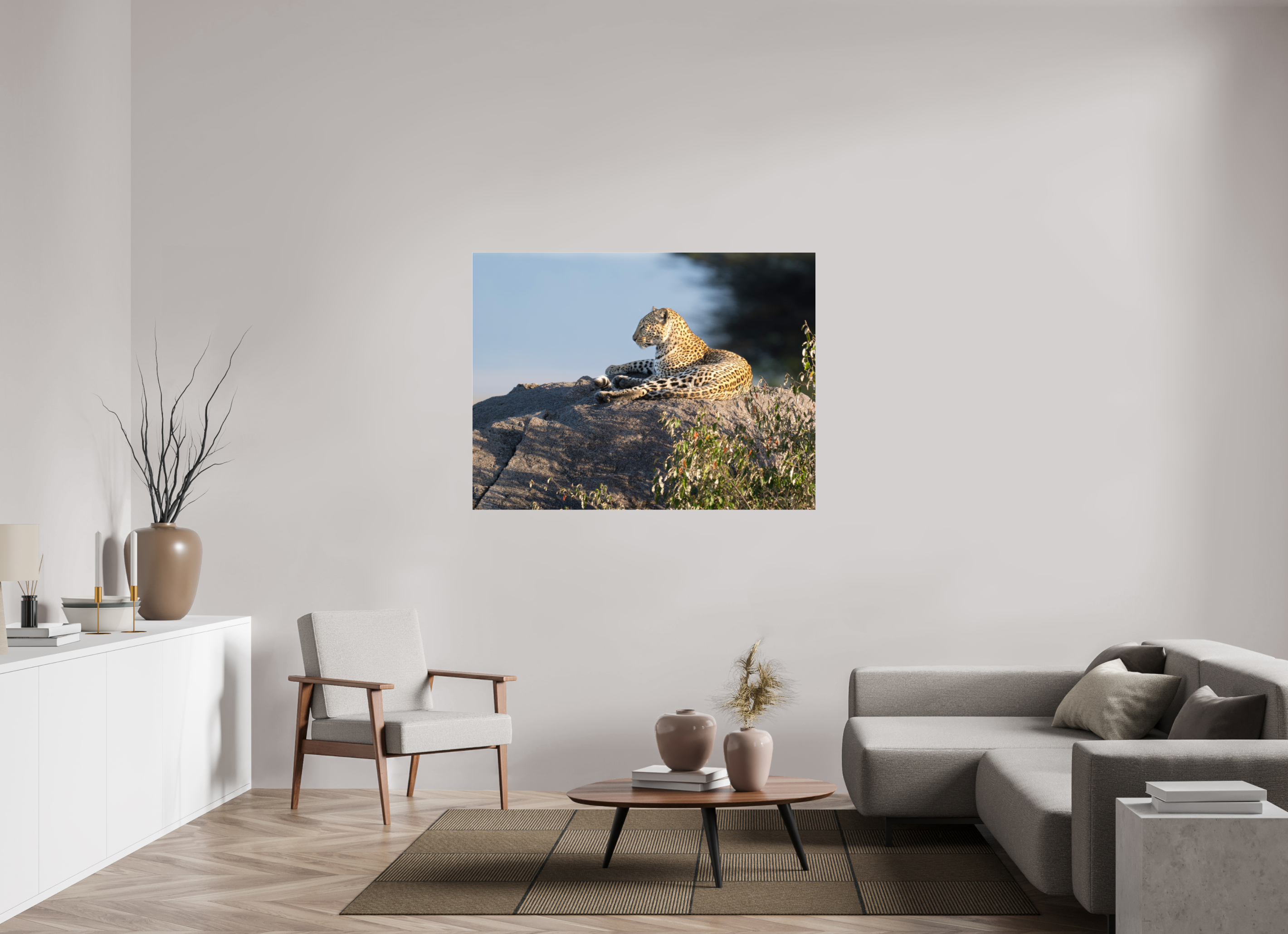140 x 105 cm, Photo Print Under Acrylic Glass Leopard scanning the horizon