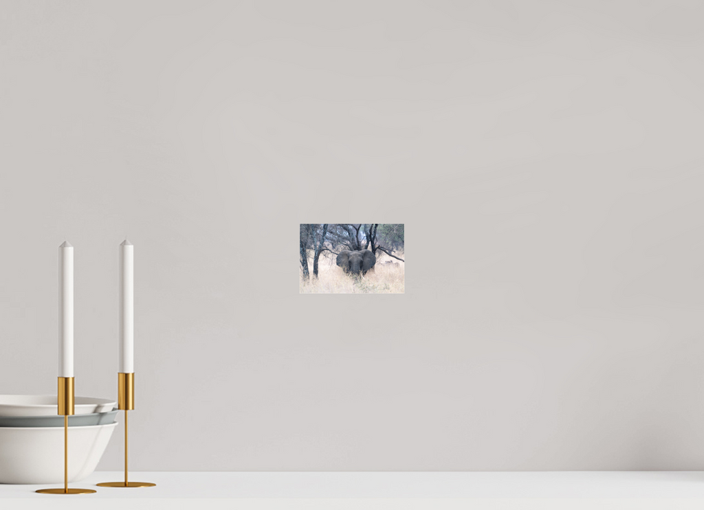 15 x 10 cm, Photo Print Under Acrylic Glass Elephant in the Savanna (no frame)