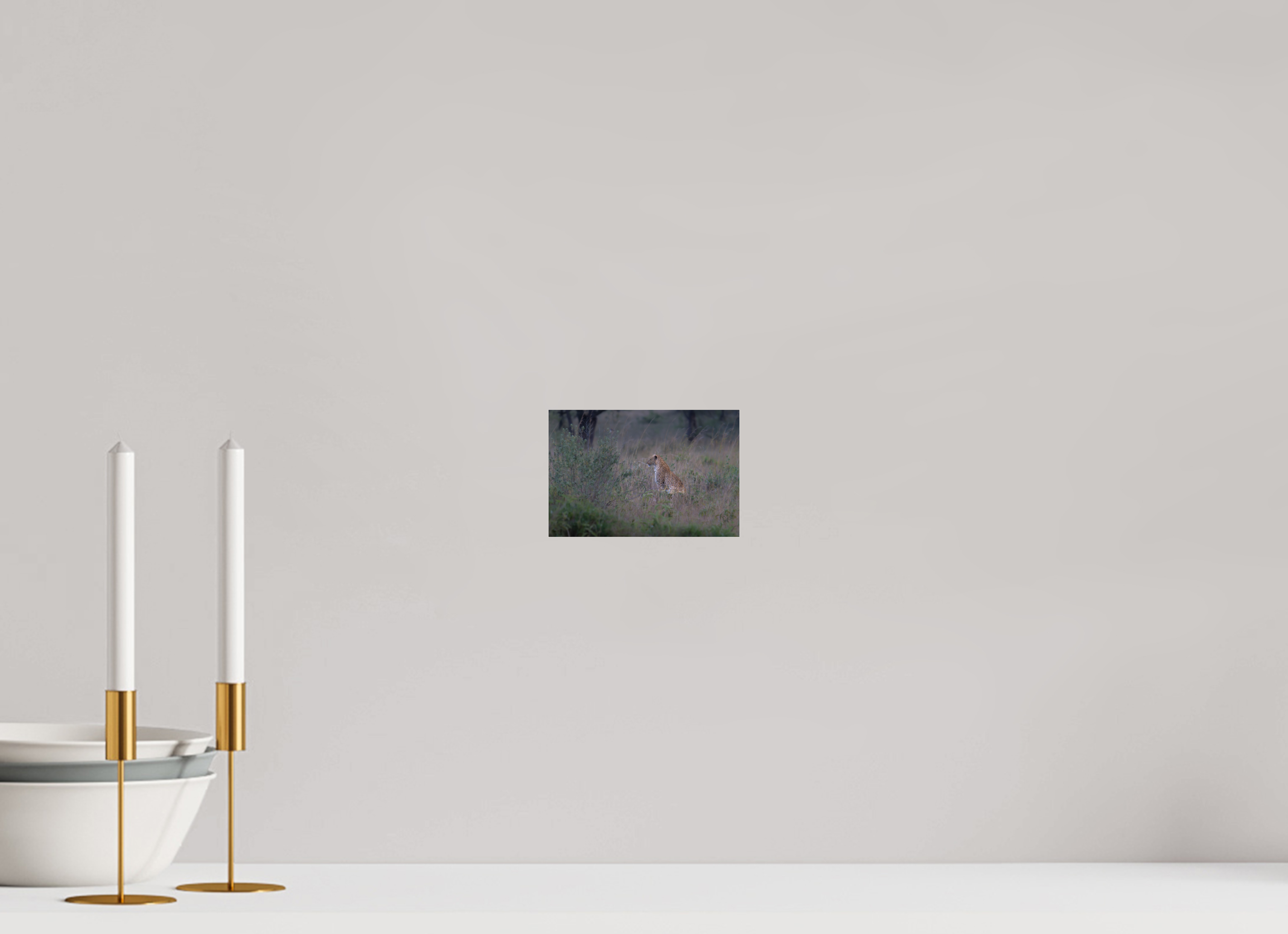 15 x 10 cm, Photo Print Under Acrylic Glass Leopard in high grass (no frame)