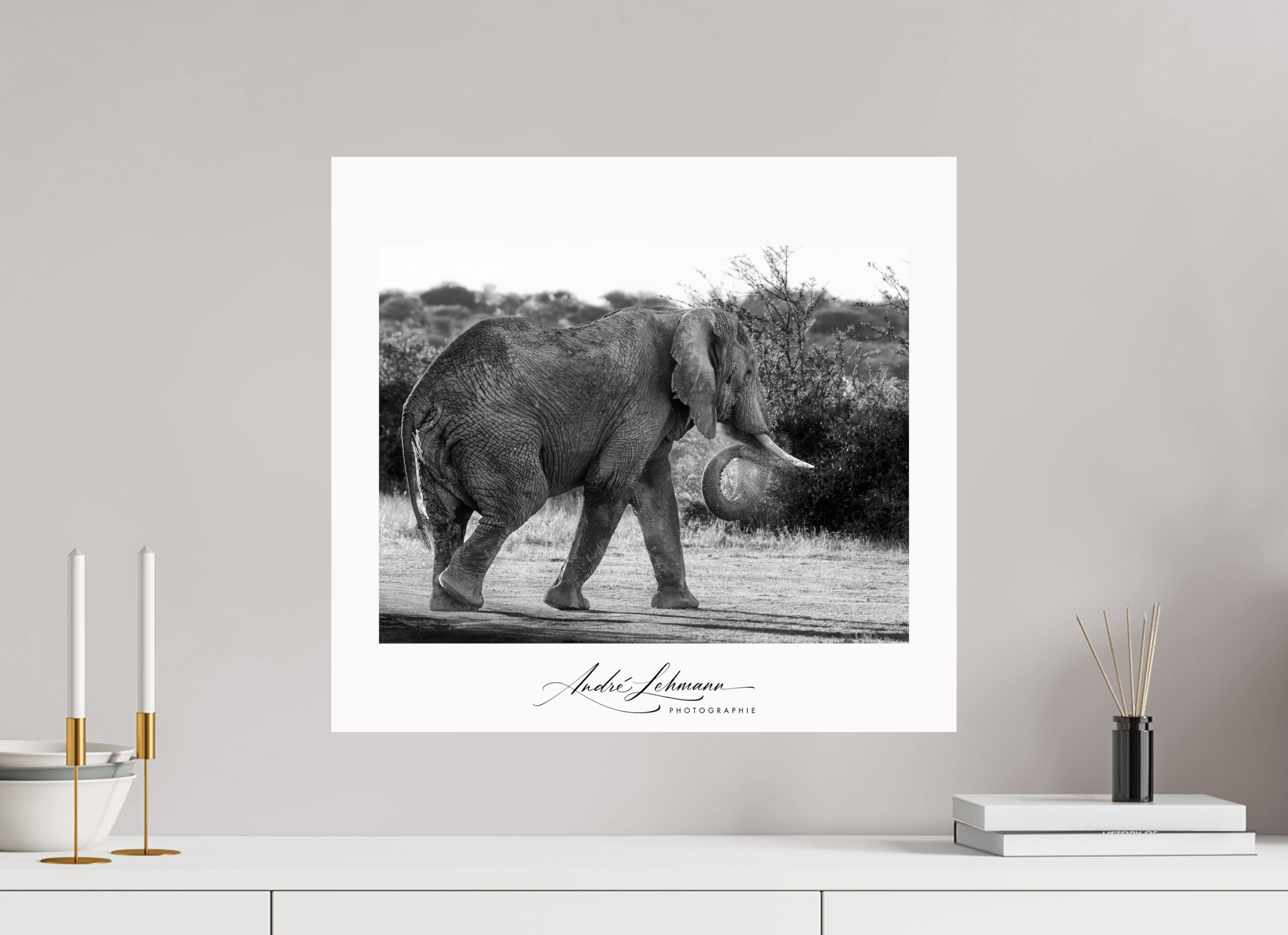 54.4 x 50 cm, Photo Print Under Acrylic Glass Elephant black and white