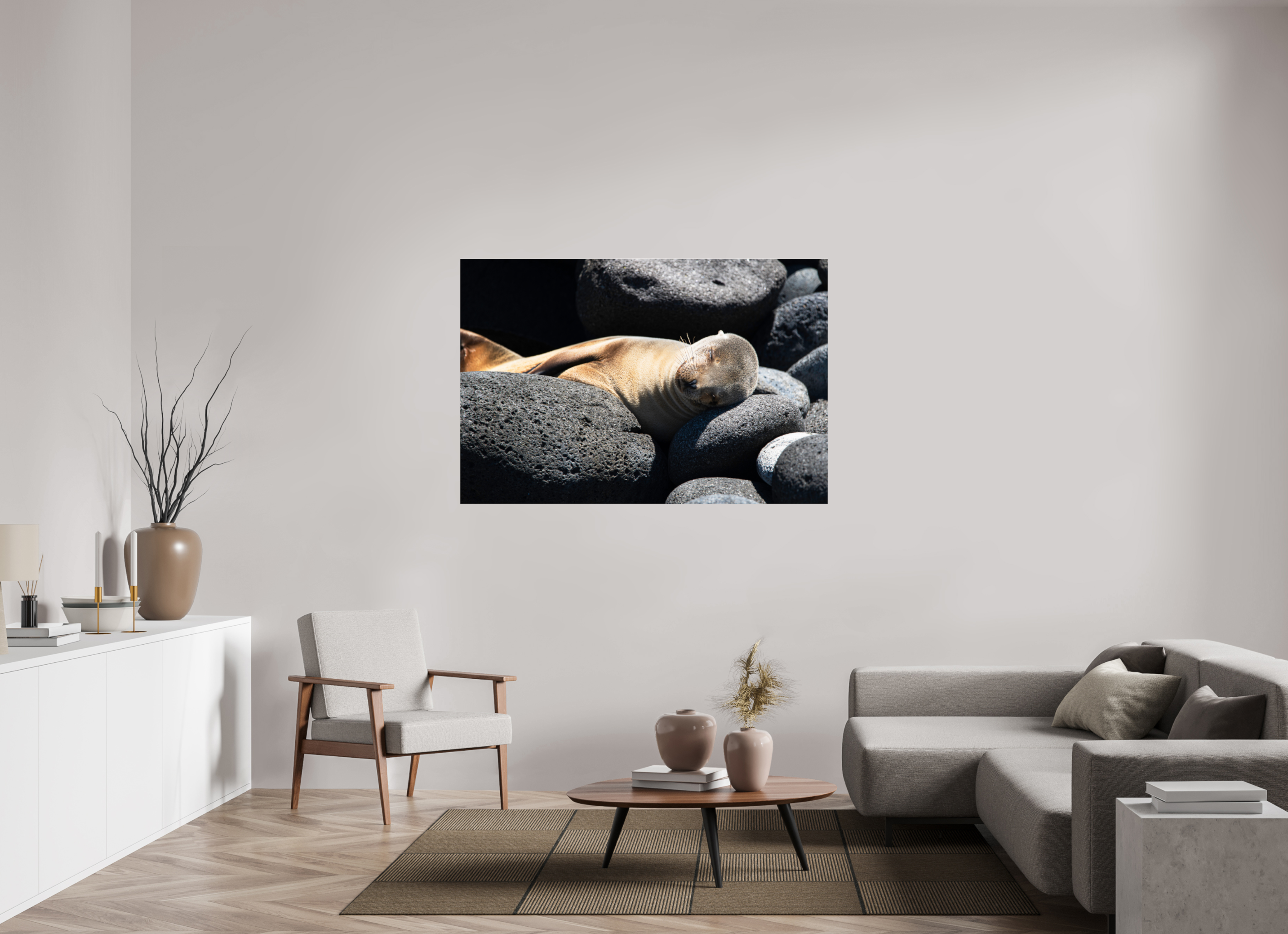 150 x 100 cm, Photo Print Under Acrylic Glass Galapagos Sea Lion