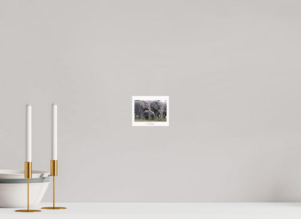 12.3 x 10 cm, Photo Print Under Acrylic Glass Elephant calf