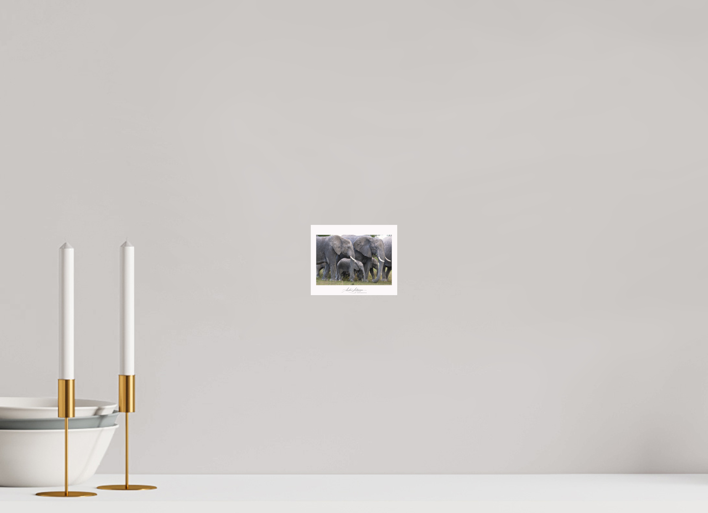 12.3 x 10 cm, Photo Print Under Acrylic Glass Elephant calf
