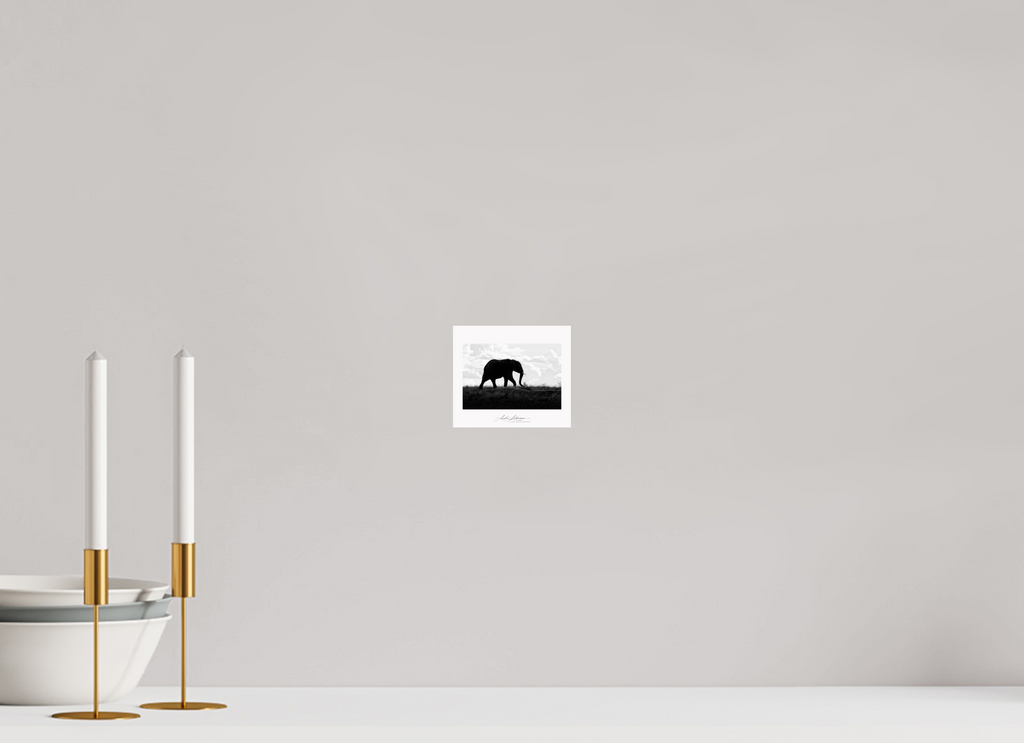 11.6 x 10 cm, Photo Print Under Acrylic Glass Elephant strolling