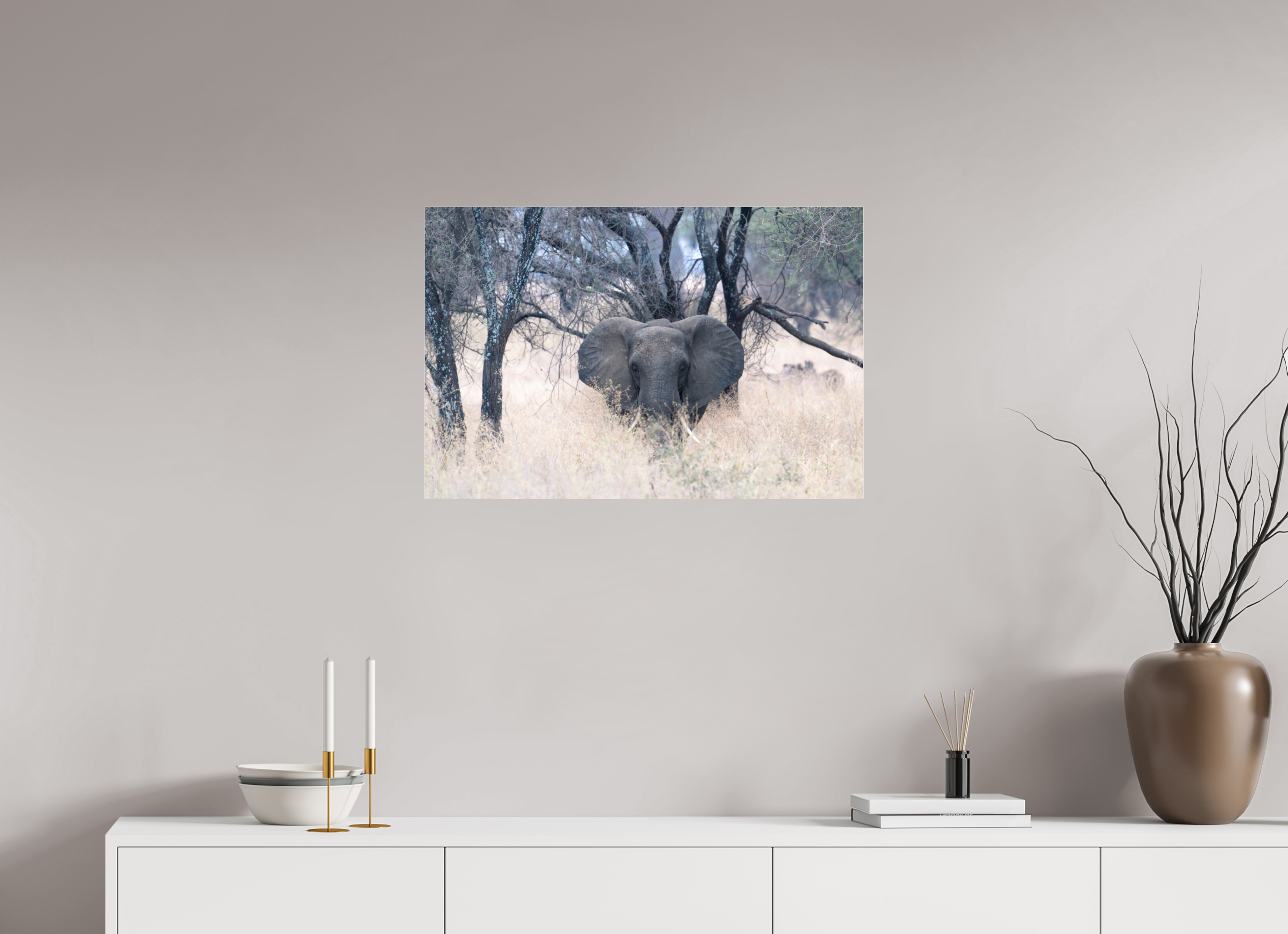 75 x 50 cm, Photo Print Under Acrylic Glass Elephant in the Savanna (no frame)