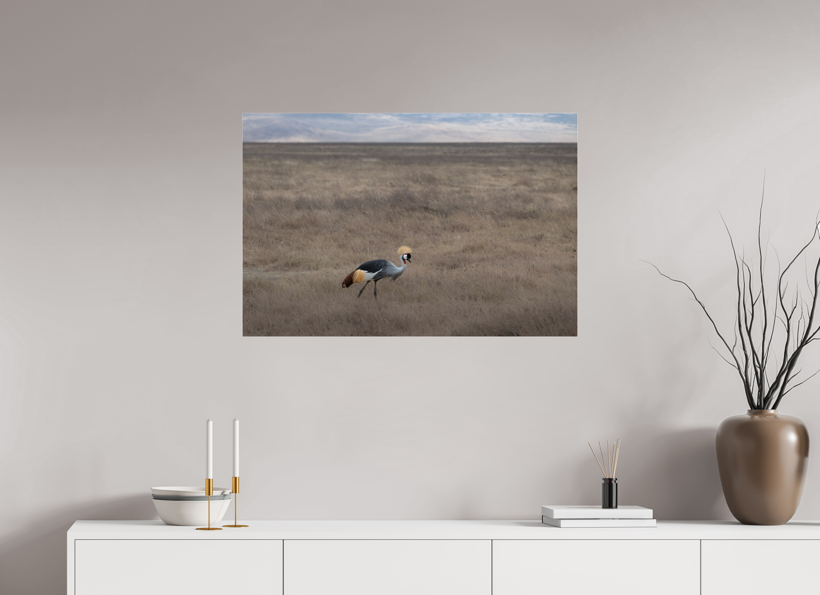 90 x 60 cm, Photo Print Under Acrylic Glass Grey Crowned Crane