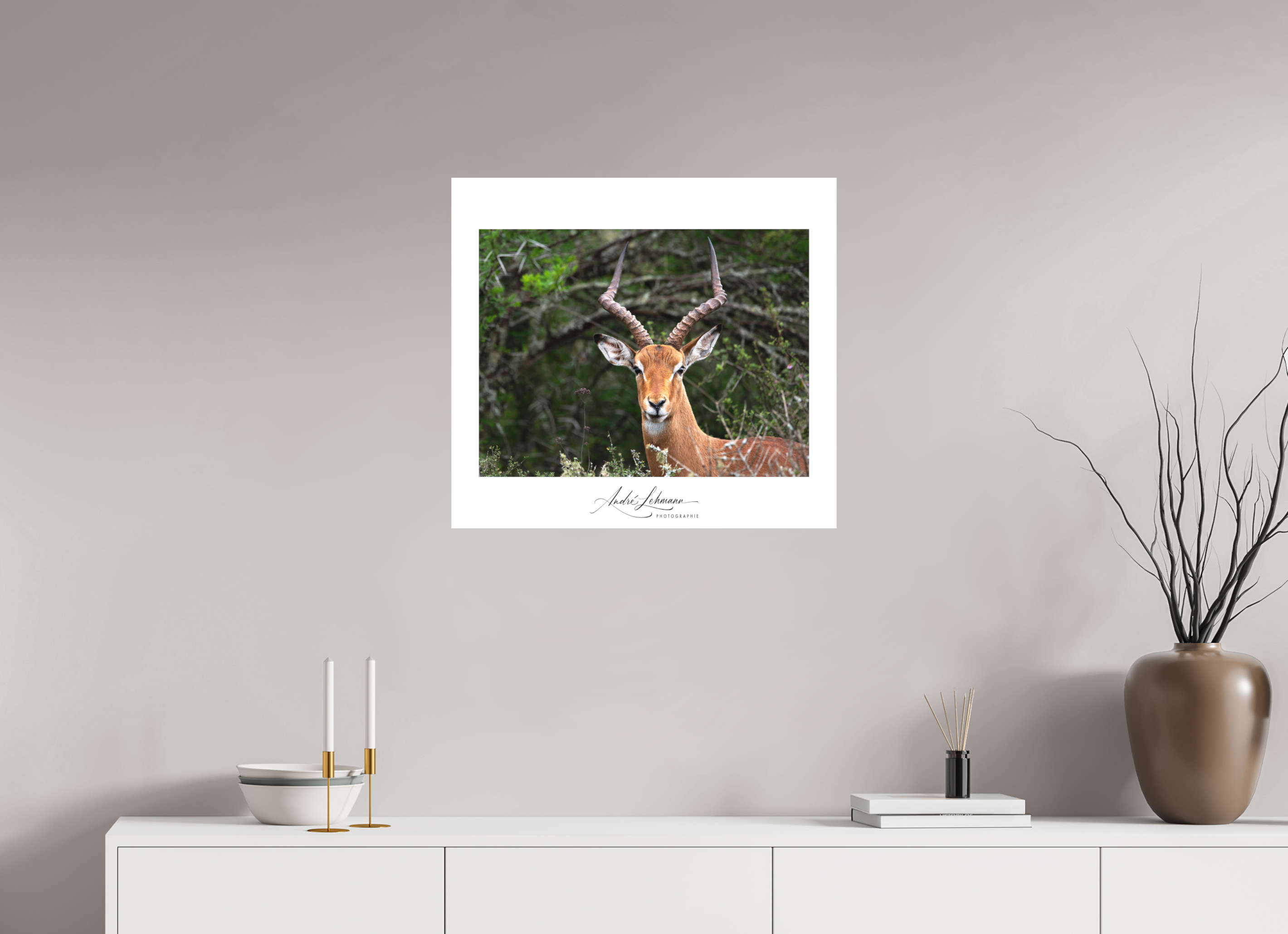 65.9 x 60 cm, Foto-Druck auf Alu-Dibond Impala (Alu Dibond)