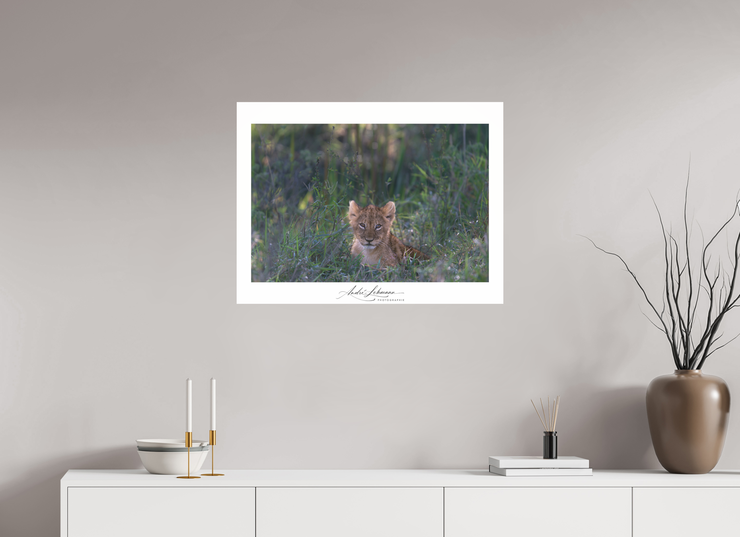 79.3 x 60 cm, Photo Print Under Acrylic Glass Lion cub