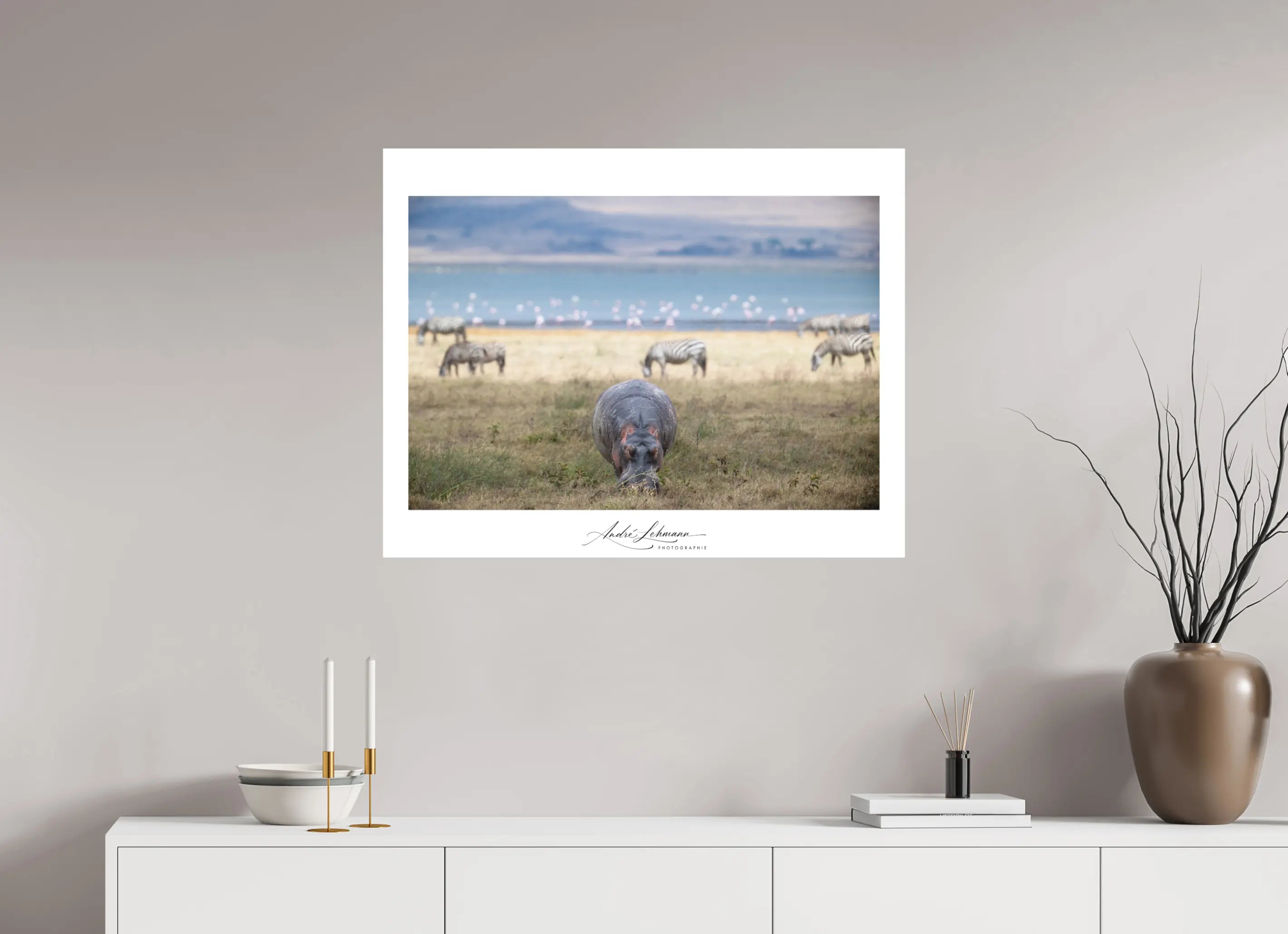 89.3 x 70 cm, Foto-Druck auf Alu-Dibond Hippo granzing (Alu dibond)