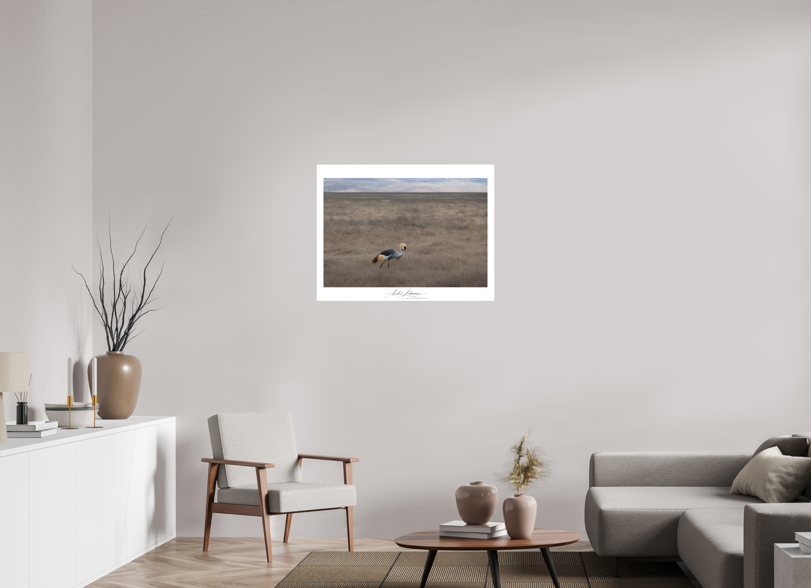 91.1 x 70 cm, Foto-Druck auf Alu-Dibond Grey crowned Crane (Alu Dibond)