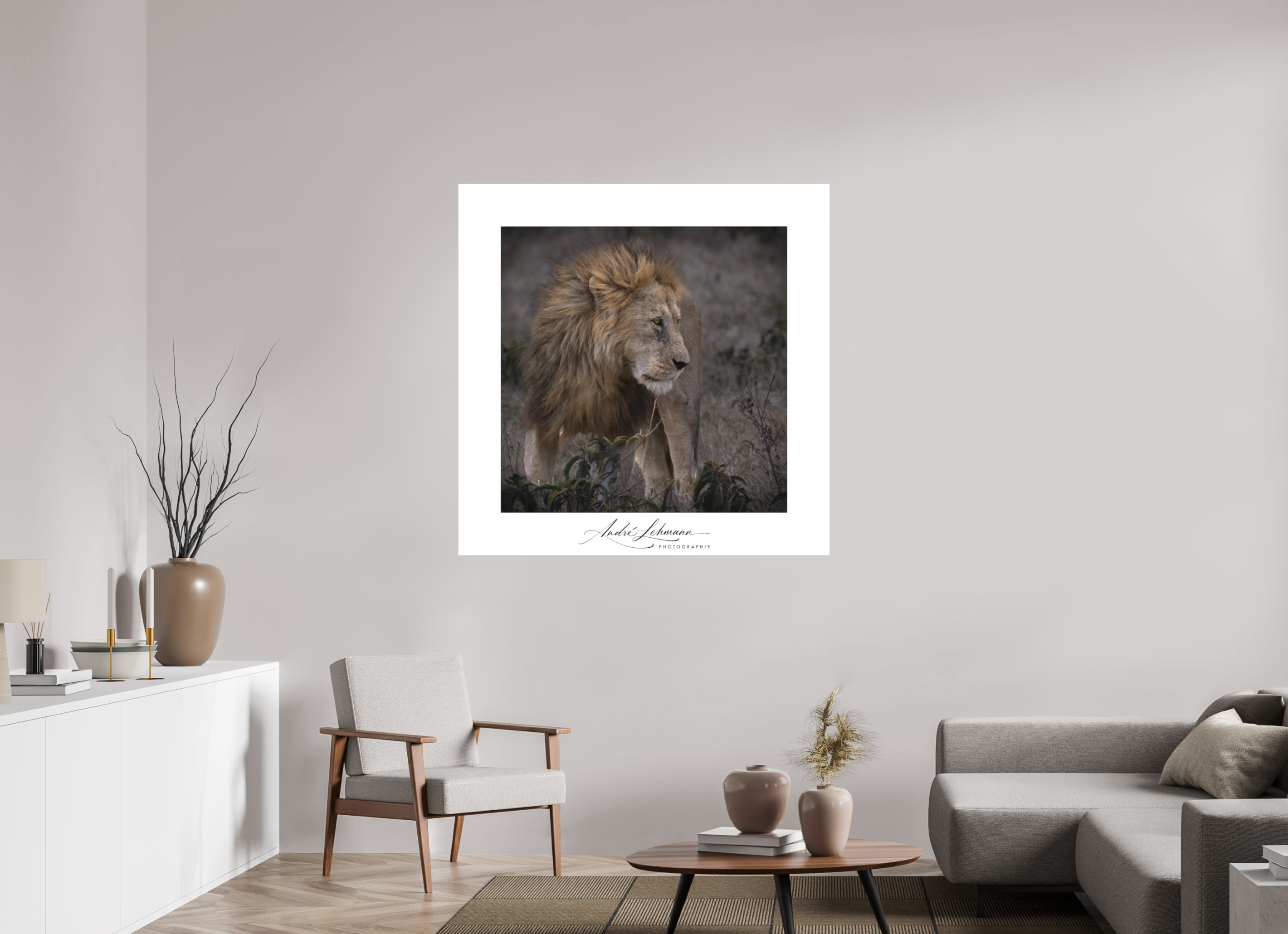 120 x 120 cm, Foto-Druck auf Alu-Dibond Male lion (Alu dibond)
