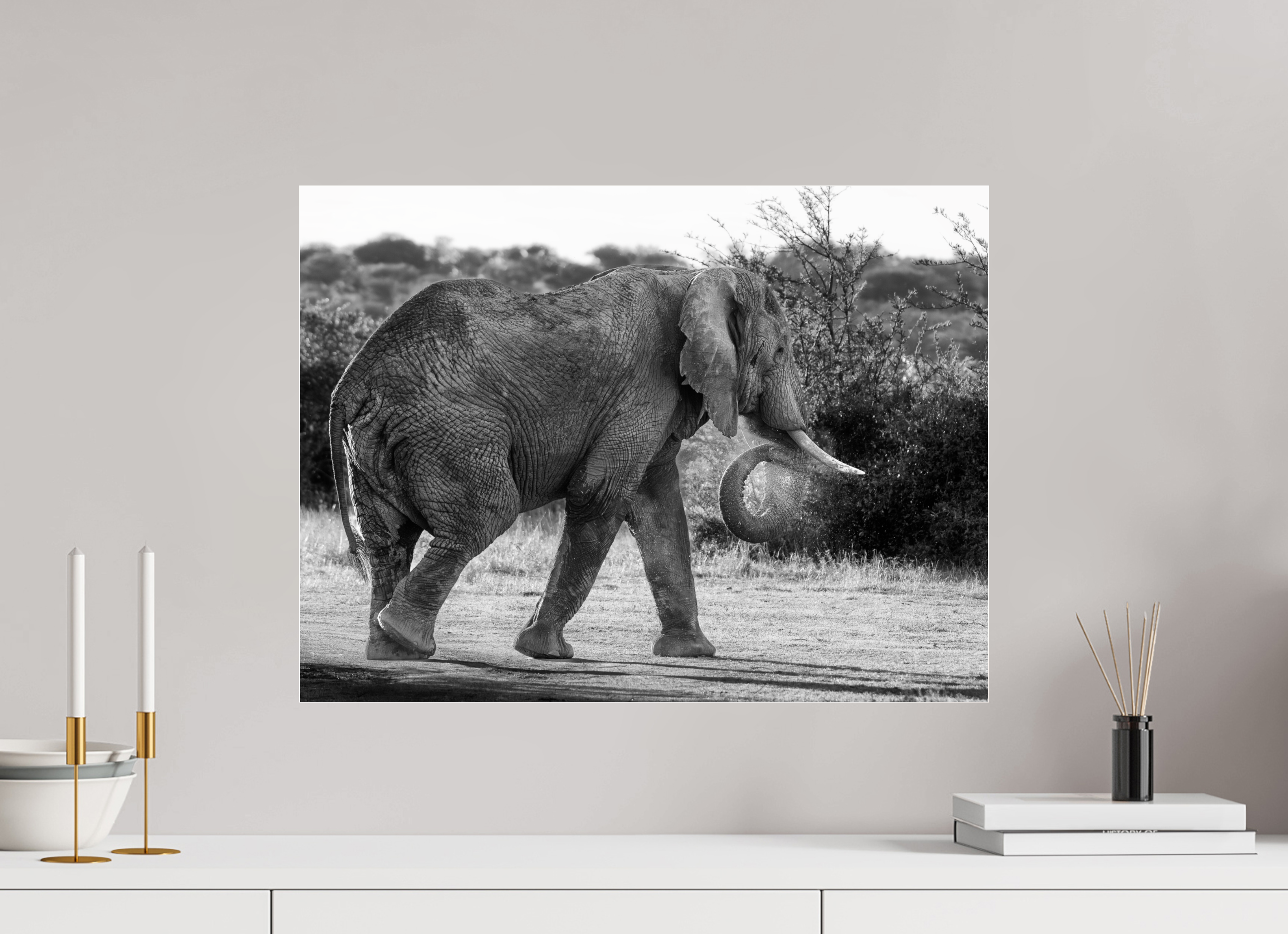 60 x 45 cm, Photo Print Under Acrylic Glass Elephant black and white (no frame)