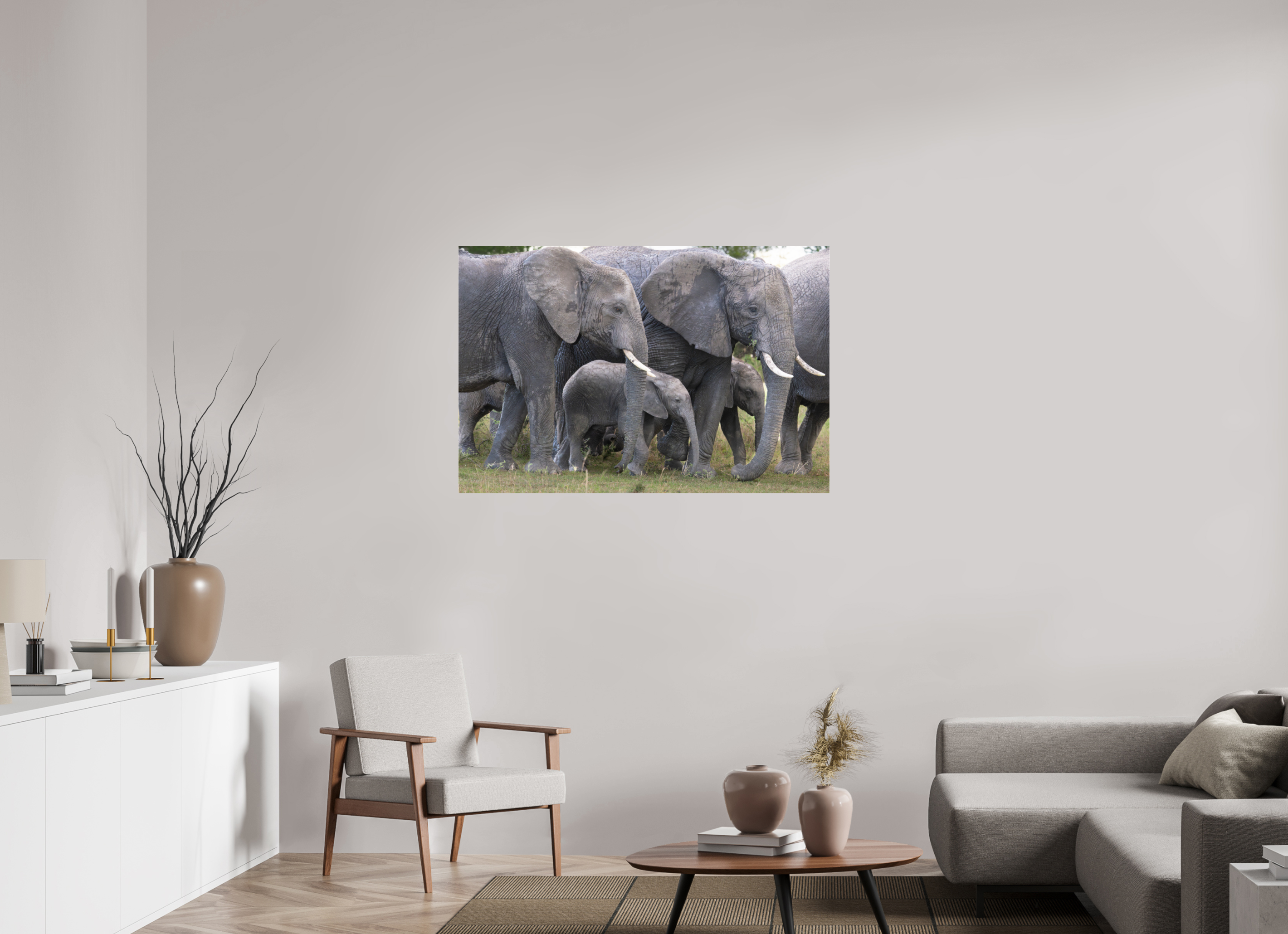 120 x 80 cm, Photo Print Under Acrylic Glass Elephant calf