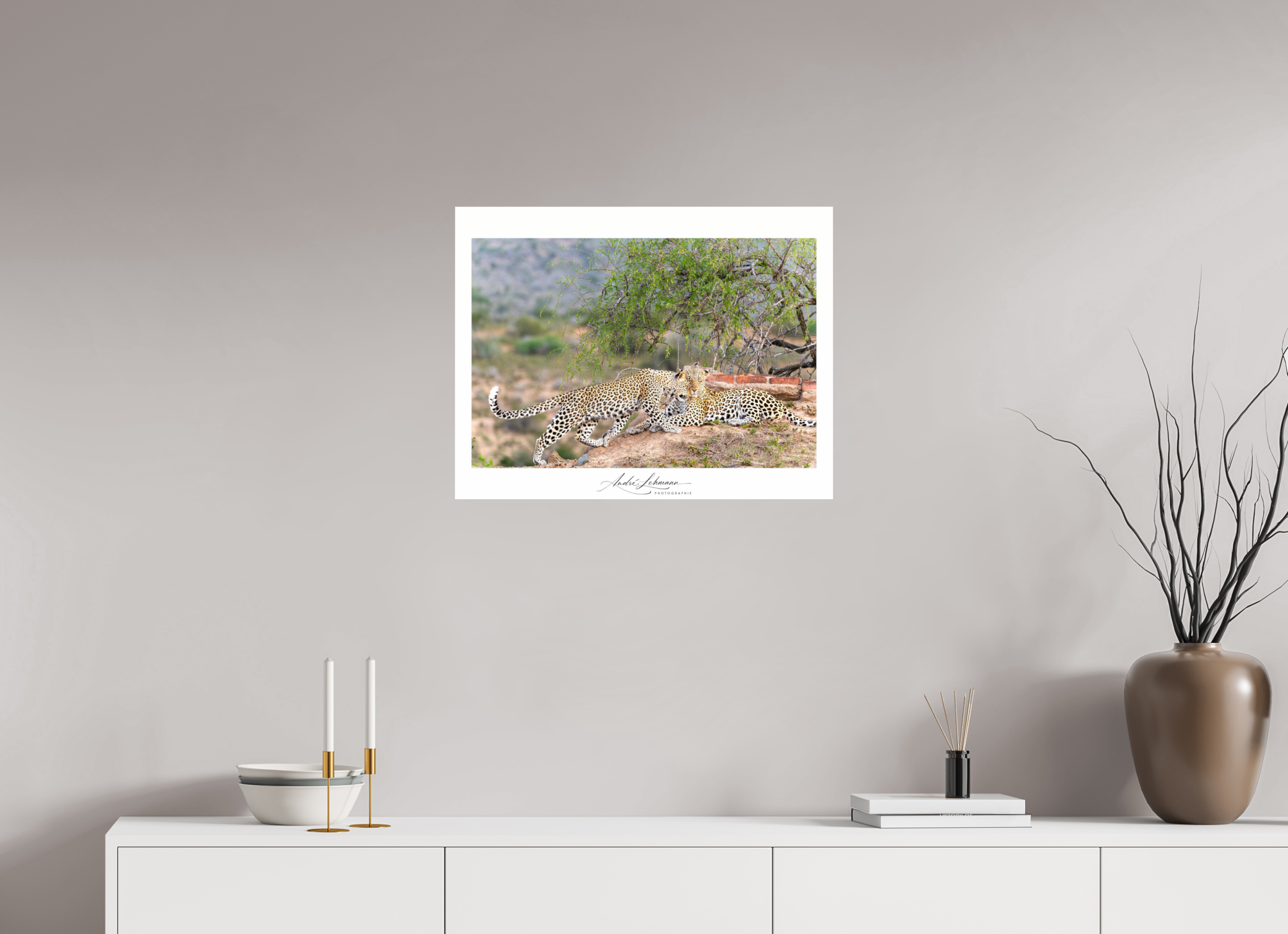 64.6 x 50 cm, Photo Print Under Acrylic Glass Two Leopards