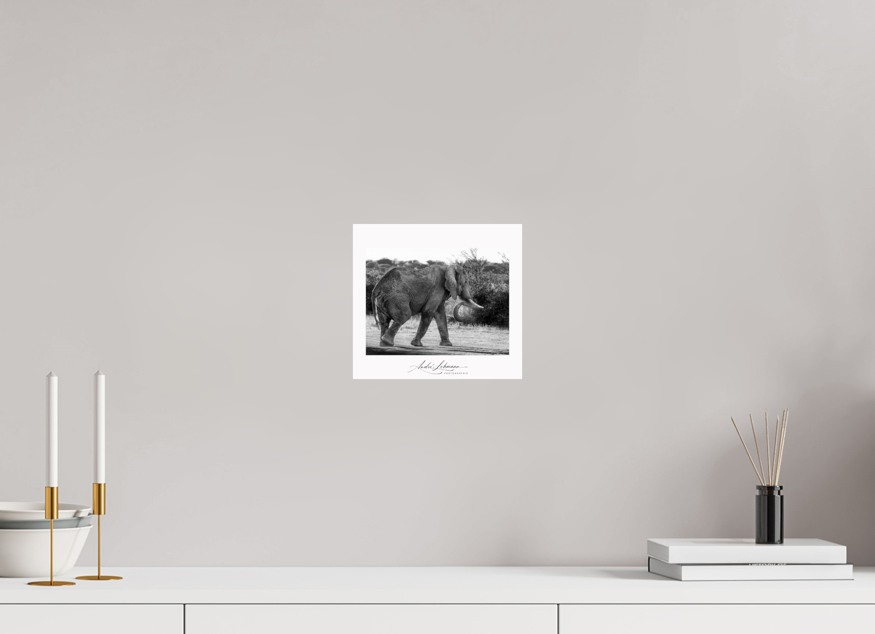 21.8 x 20 cm, Photo Print Under Acrylic Glass Elephant black and white