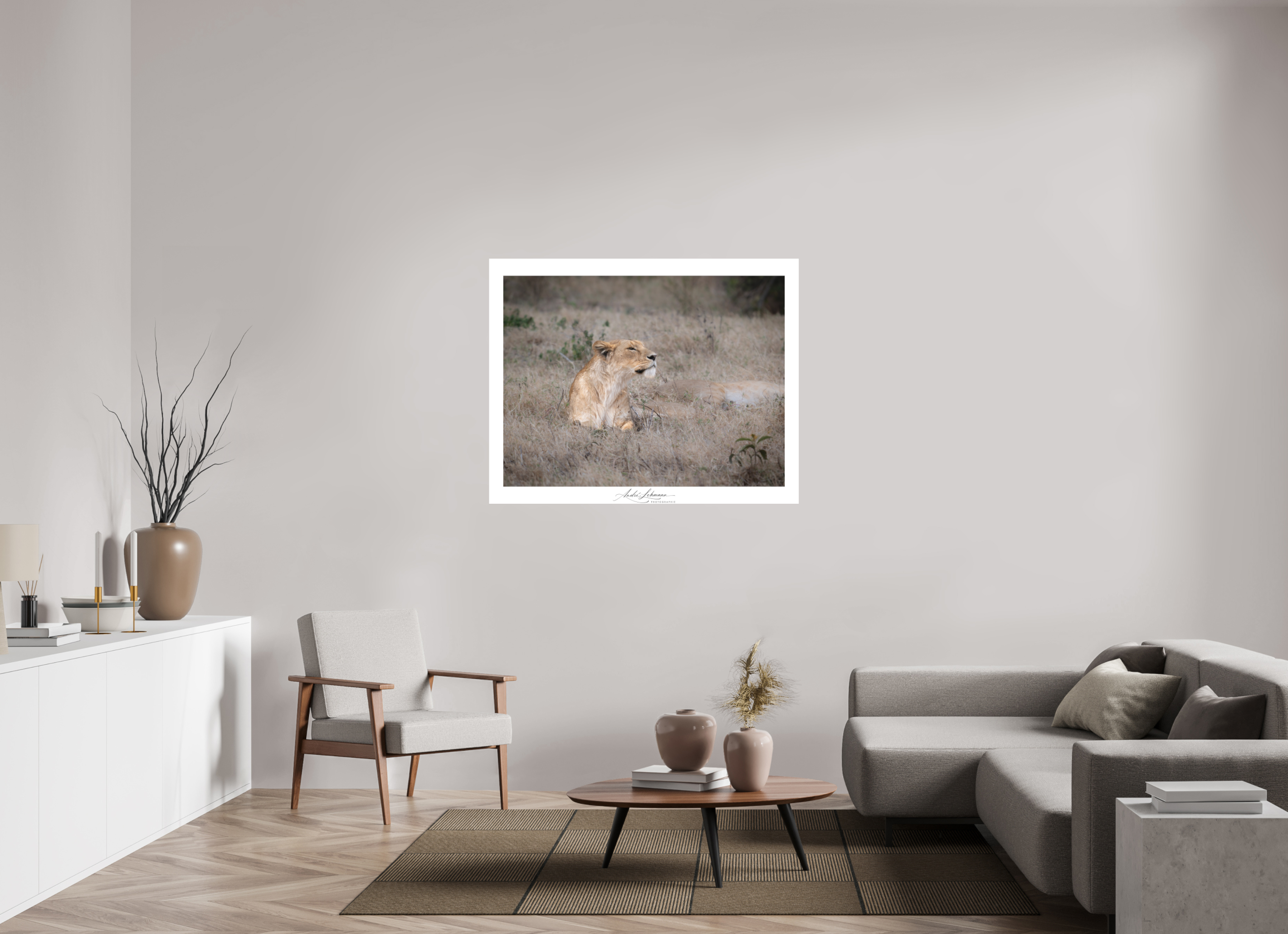 126.3 x 100 cm, Foto-Druck auf Alu-Dibond An attentive lioness (Alu Dibond)