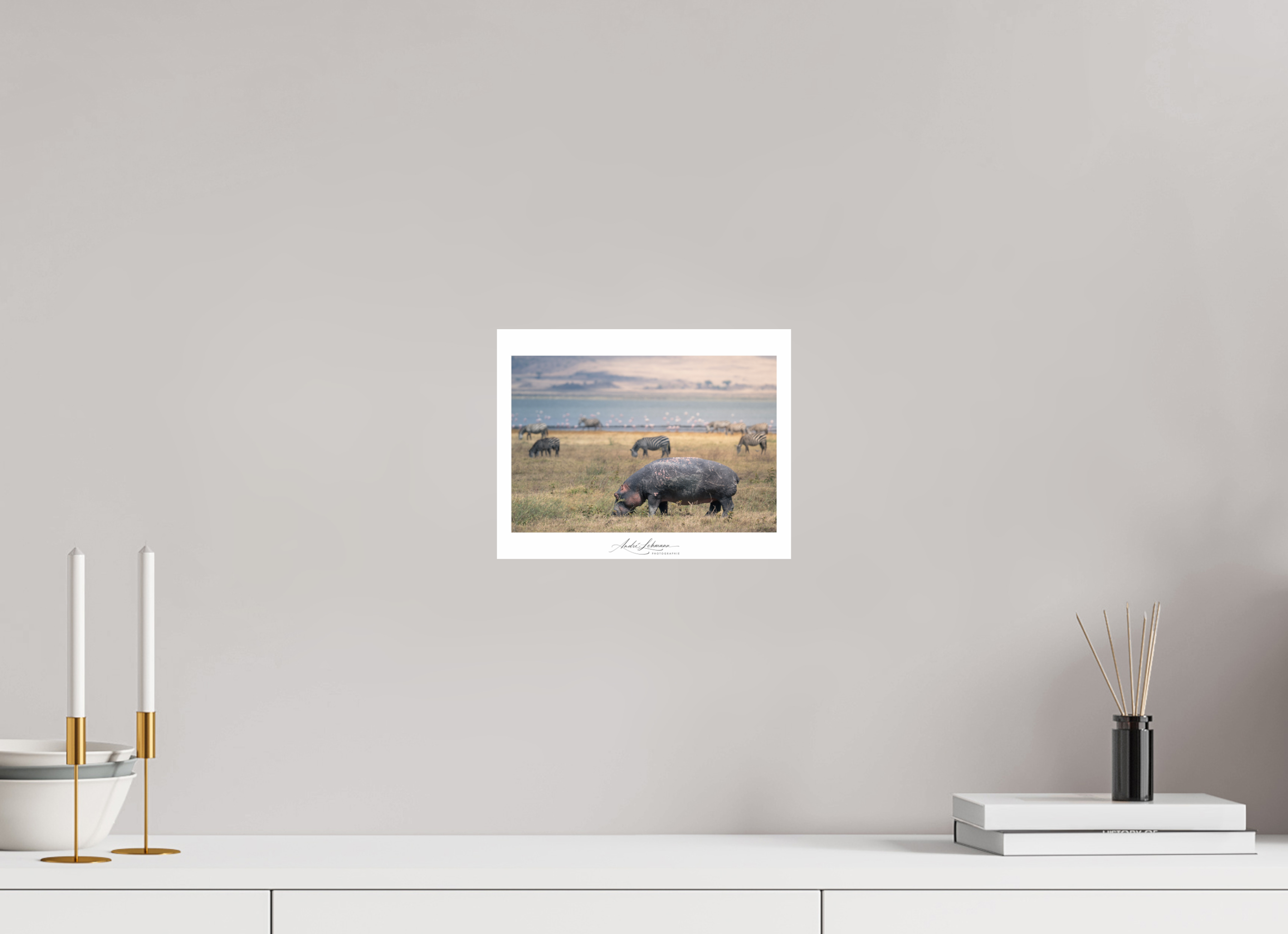 25.6 x 20 cm, Photo Print Under Acrylic Glass Hippo out of the water