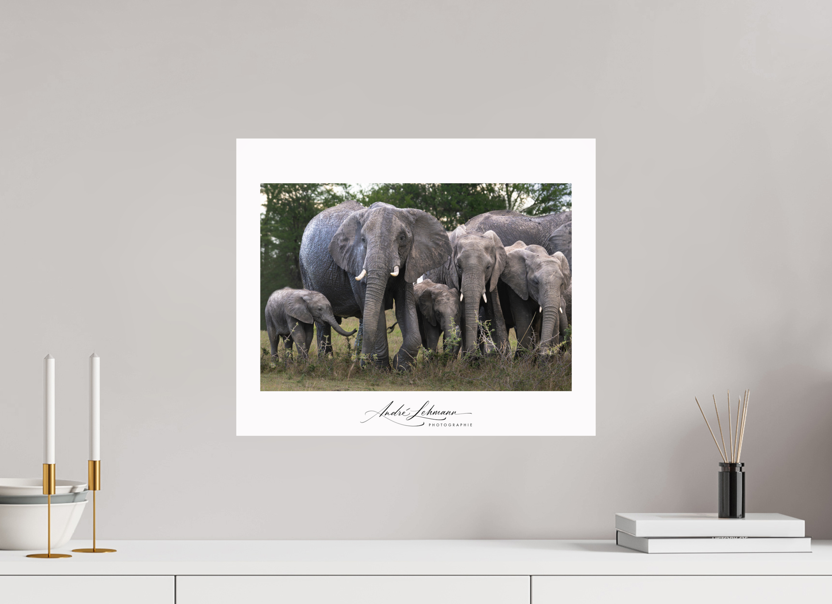 48.4 x 40 cm, Photo Print Under Acrylic Glass Happy Elephant family