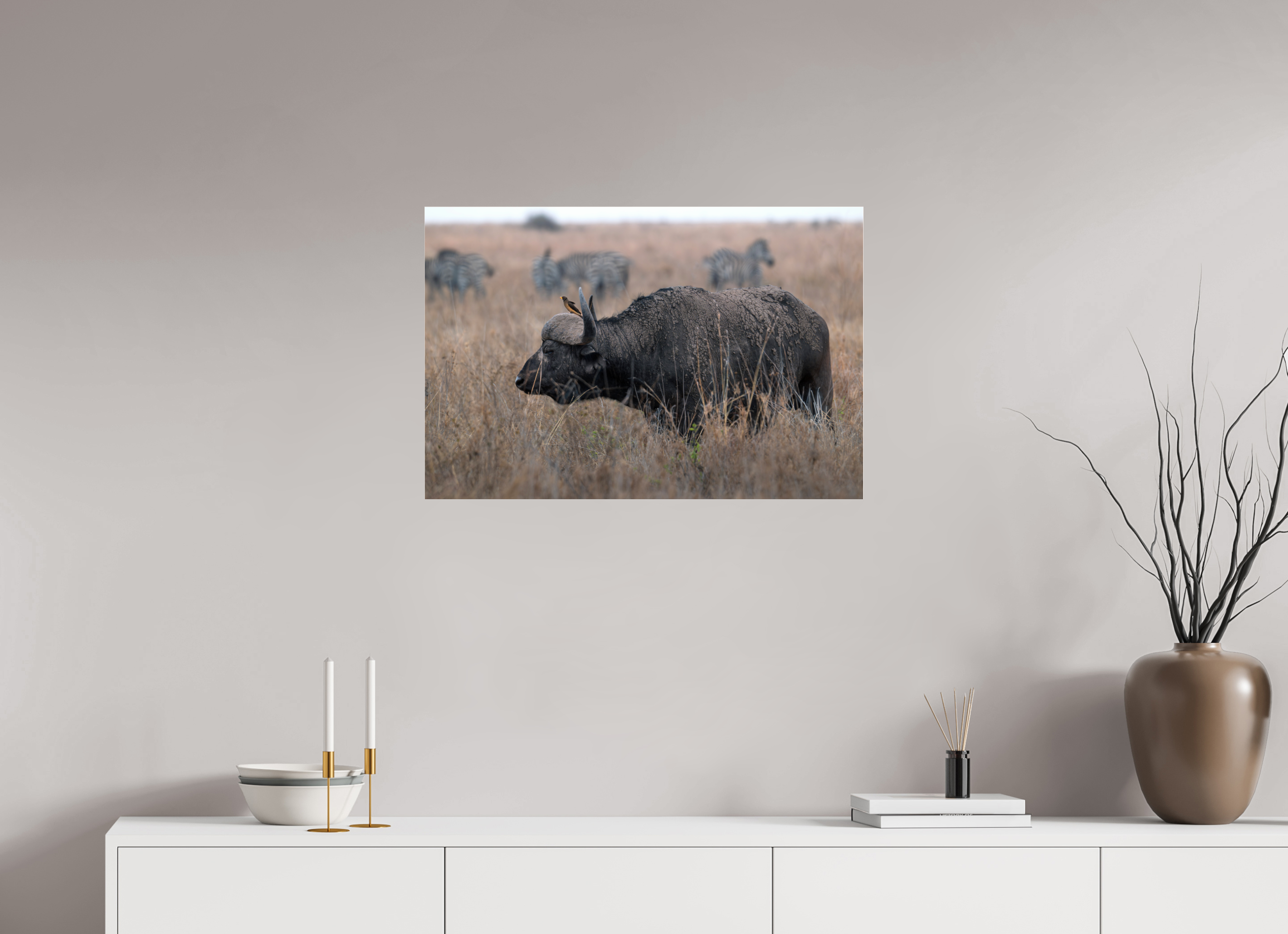 75 x 50 cm, Photo Print Under Acrylic Glass African Buffalo