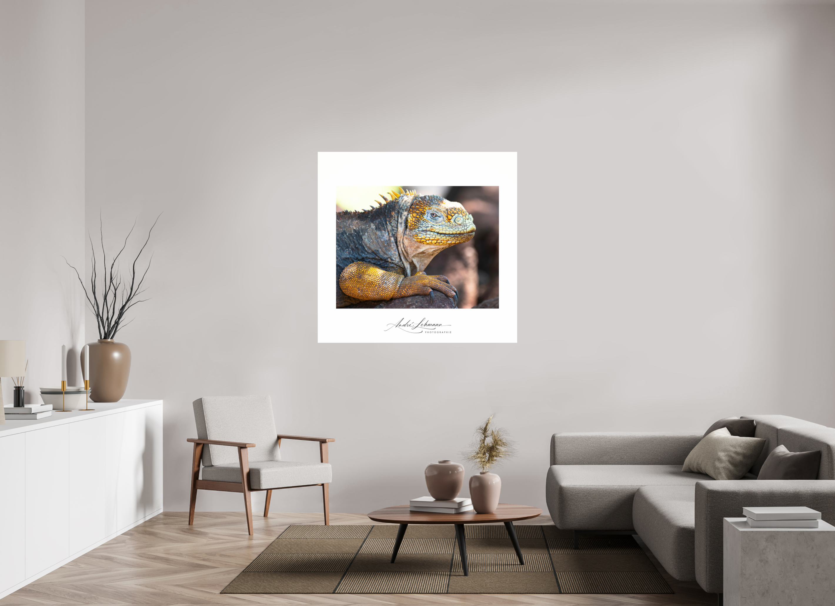 125.4 x 120 cm, Photo Print Under Acrylic Glass Galapagos Land Iguana