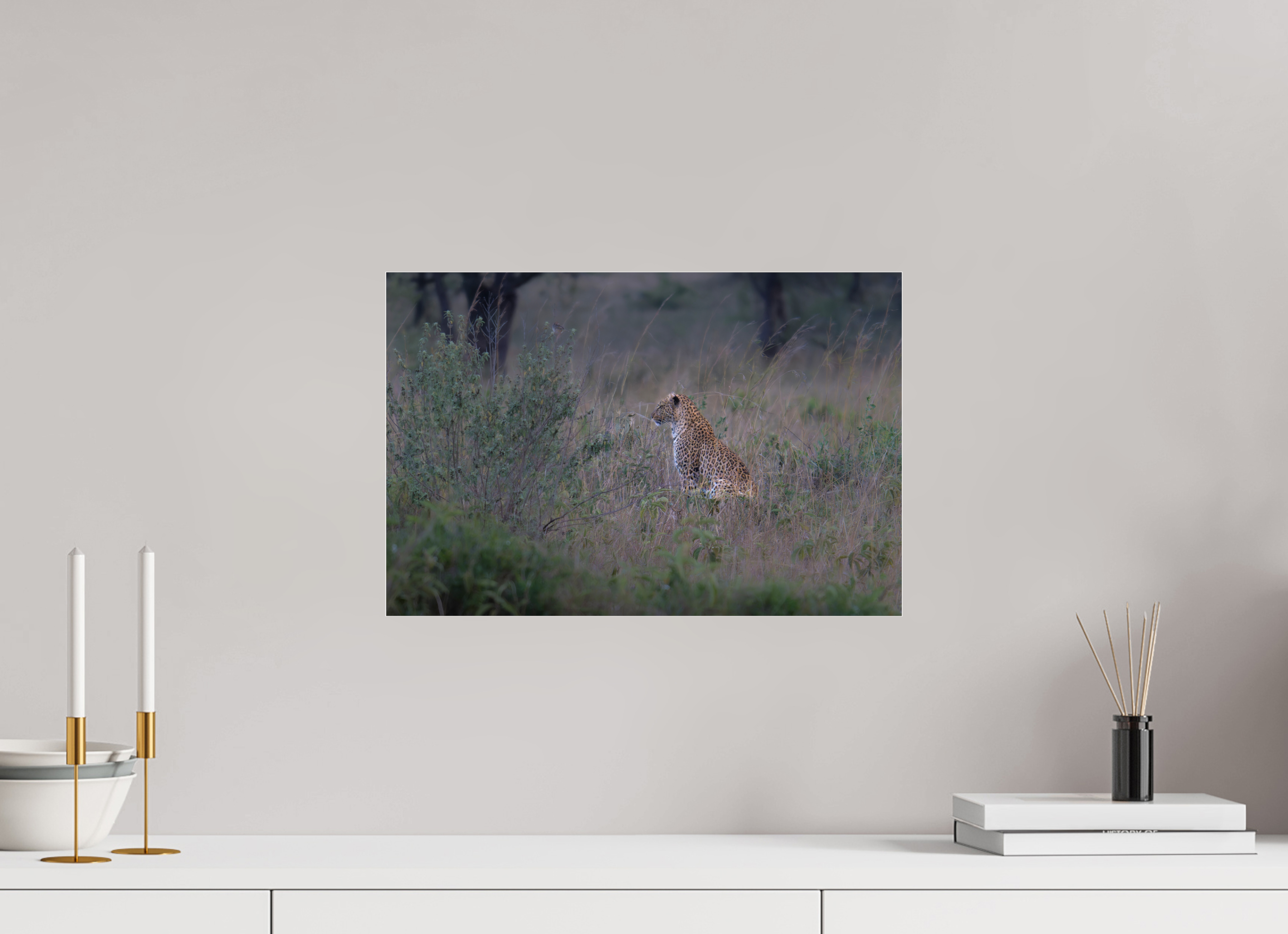 45 x 30 cm, Photo Print Under Acrylic Glass Leopard in high grass (no frame)