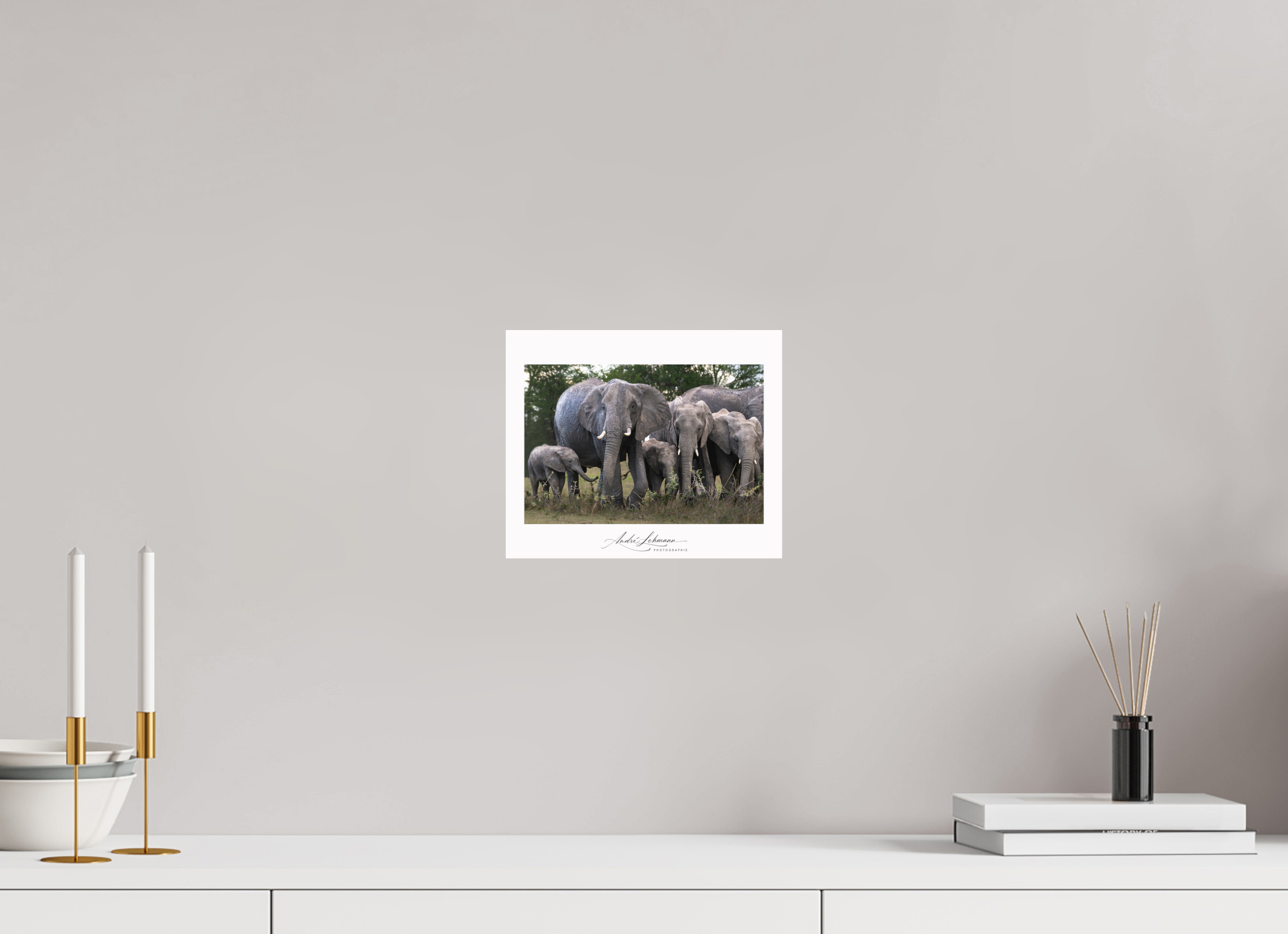 24.2 x 20 cm, Photo Print Under Acrylic Glass Happy Elephant family