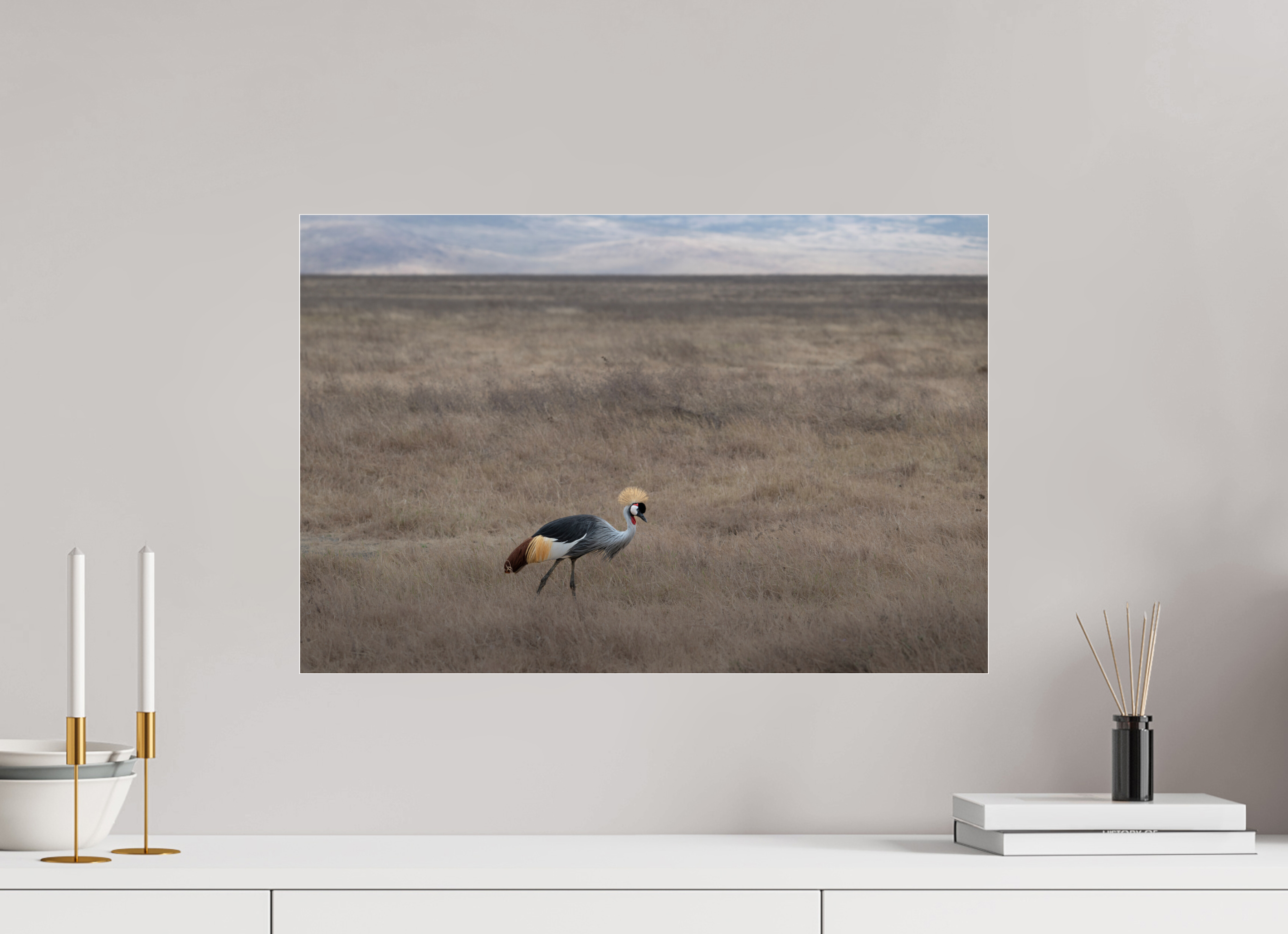 60 x 40 cm, Photo Print Under Acrylic Glass Grey Crowned Crane