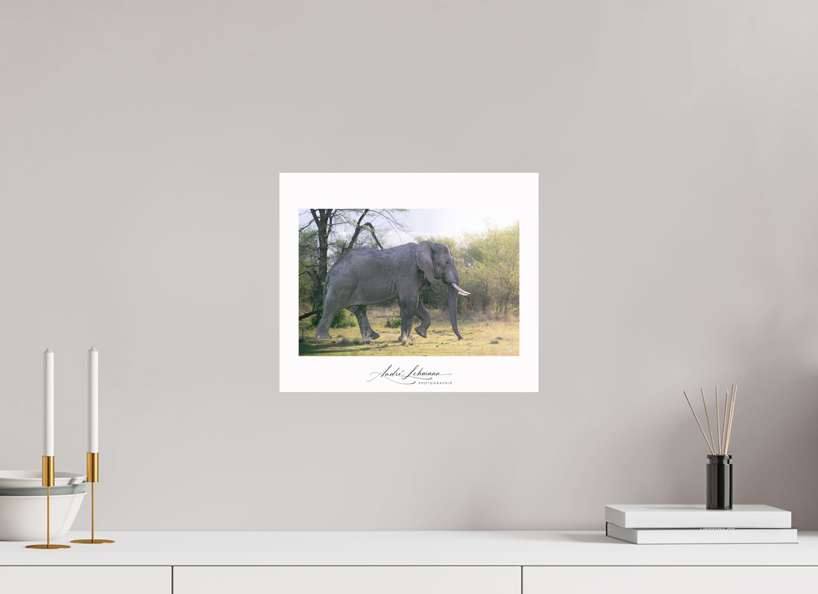 35.5 x 30 cm, Photo Print Under Acrylic Glass Walking giant