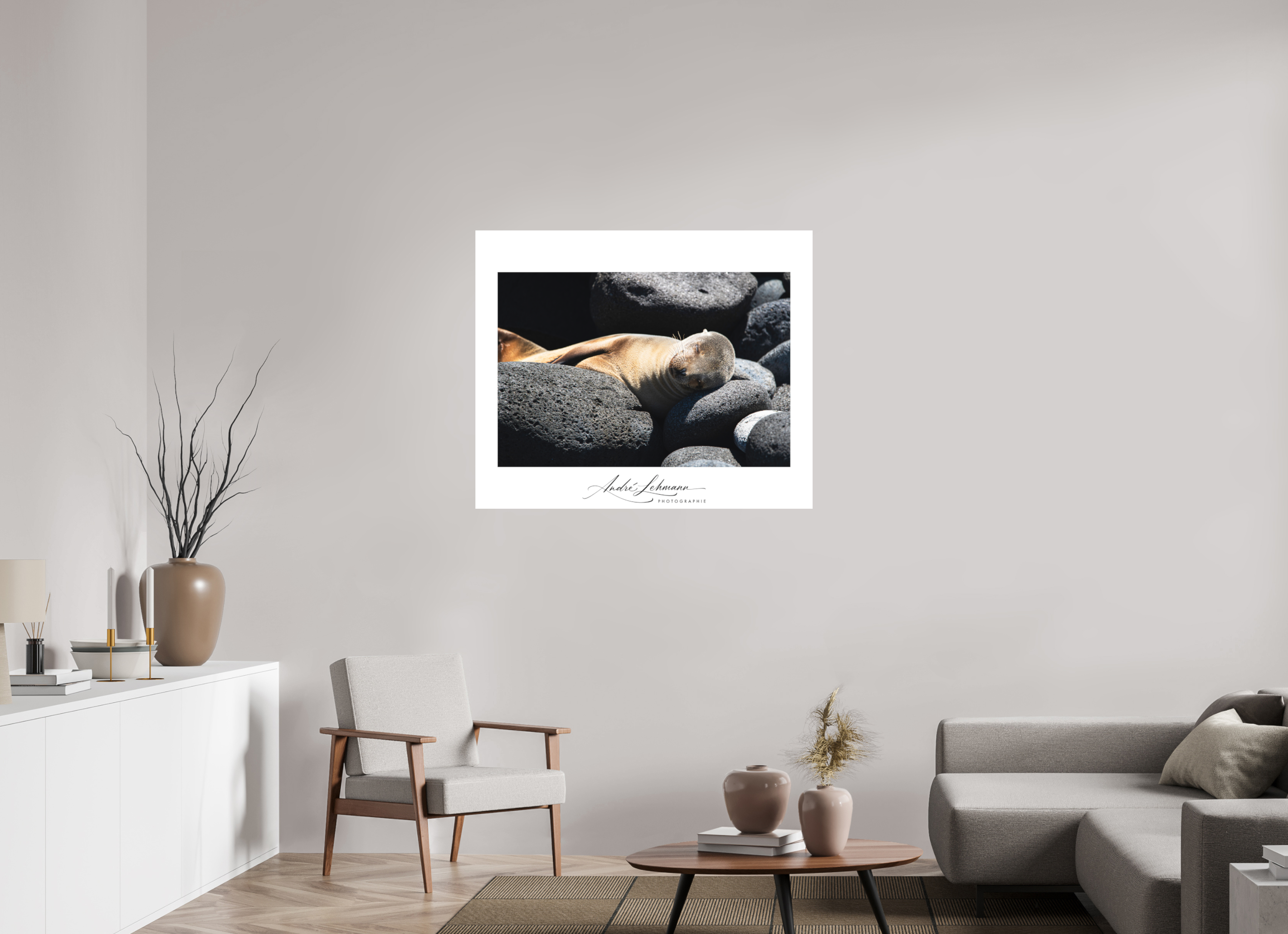 109 x 90 cm, Foto-Druck auf Alu-Dibond Galapagos Sea Lion