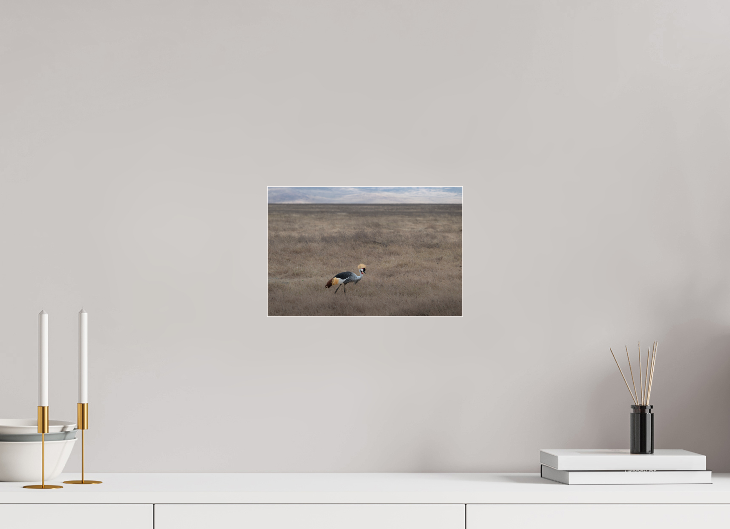 30 x 20 cm, Photo Print Under Acrylic Glass Grey Crowned Crane