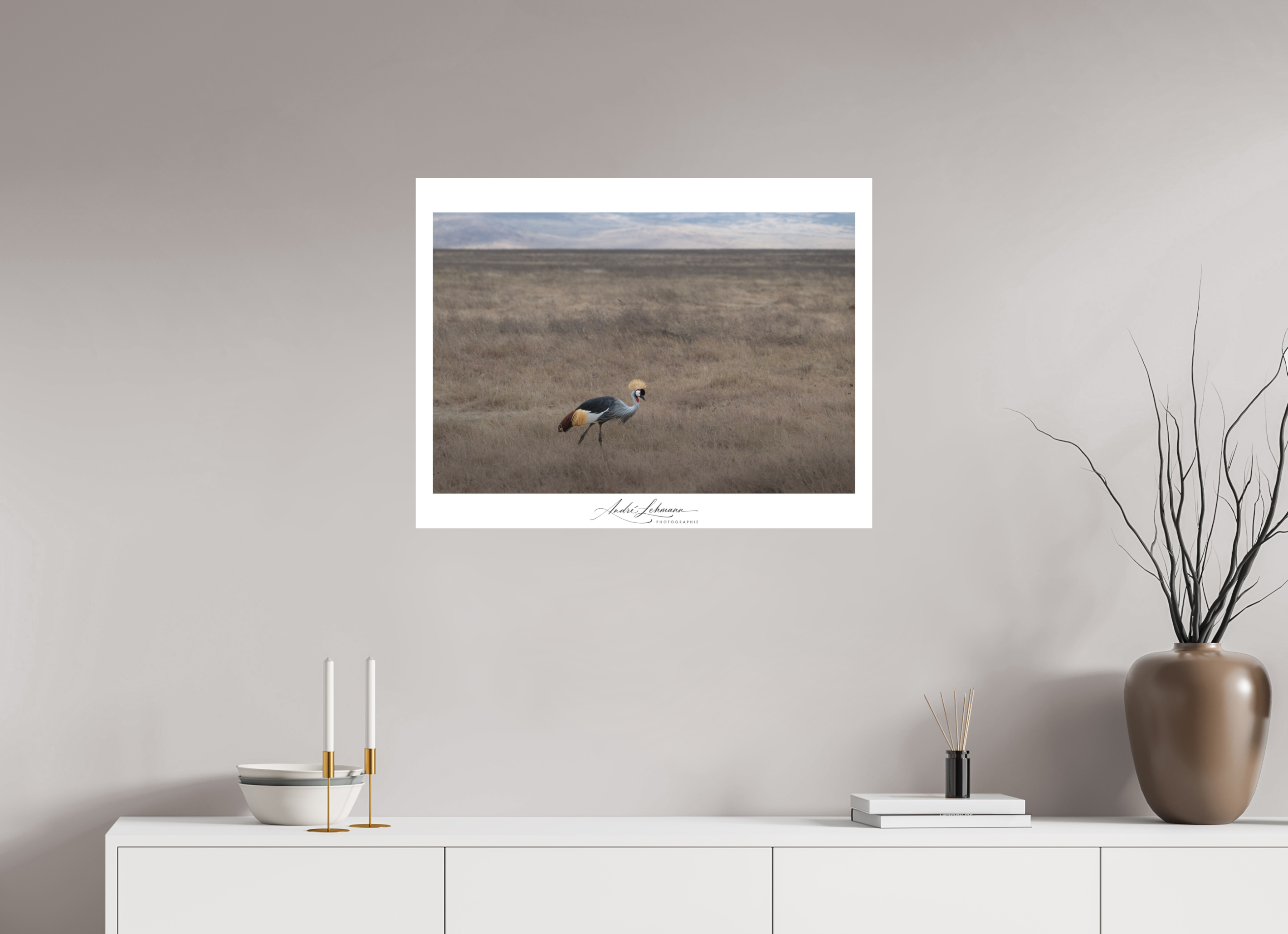 78.1 x 60 cm, Foto-Druck auf Alu-Dibond Grey crowned Crane (Alu Dibond)