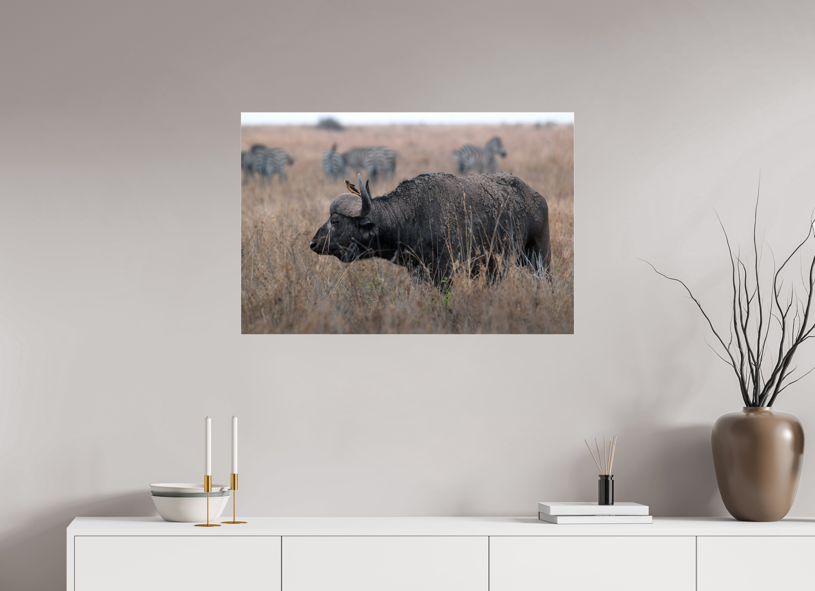 90 x 60 cm, Photo Print Under Acrylic Glass African Buffalo