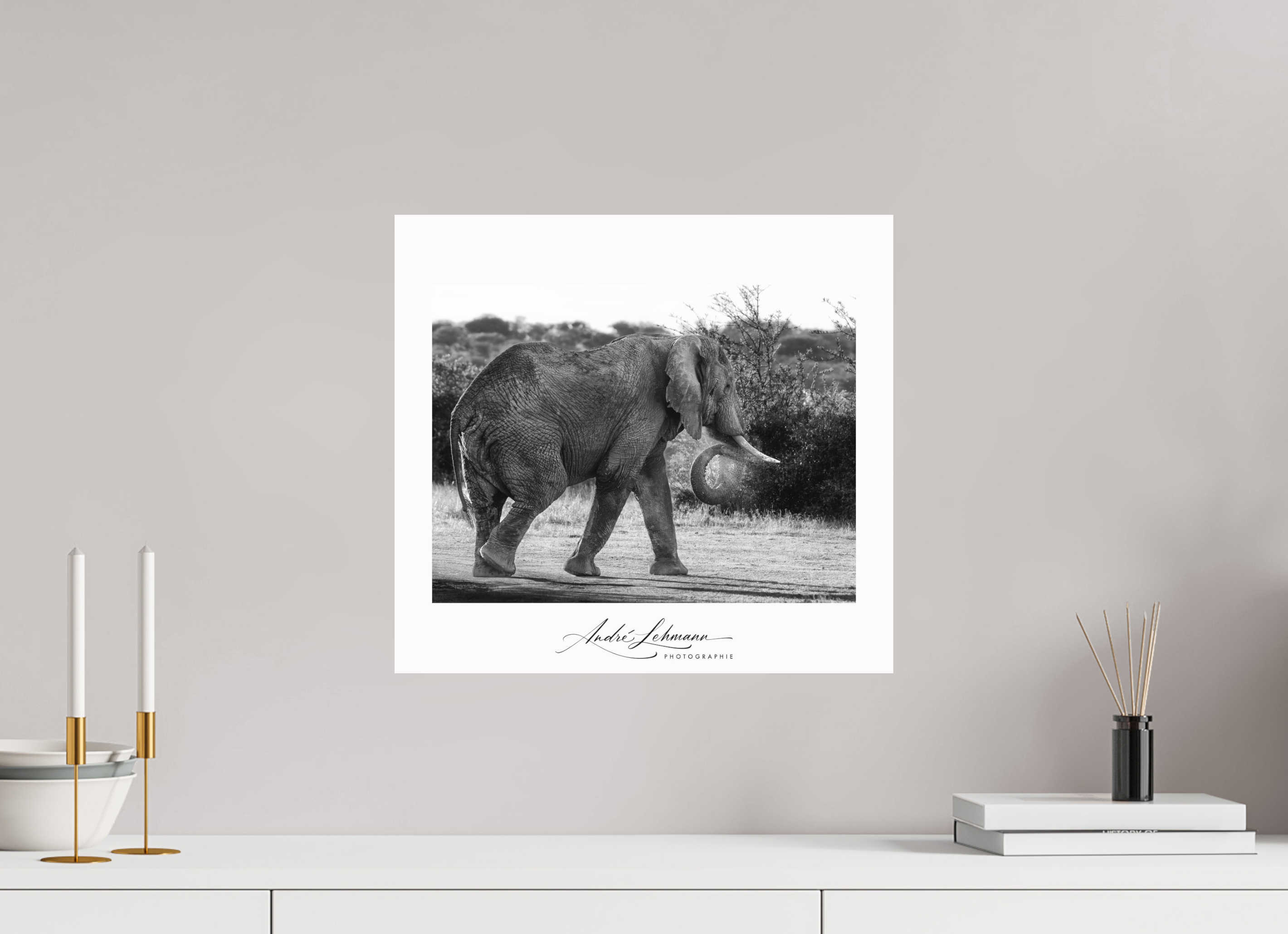 43.5 x 40 cm, Foto-Druck auf Alu-Dibond Elephant black and white (Alu dibond)