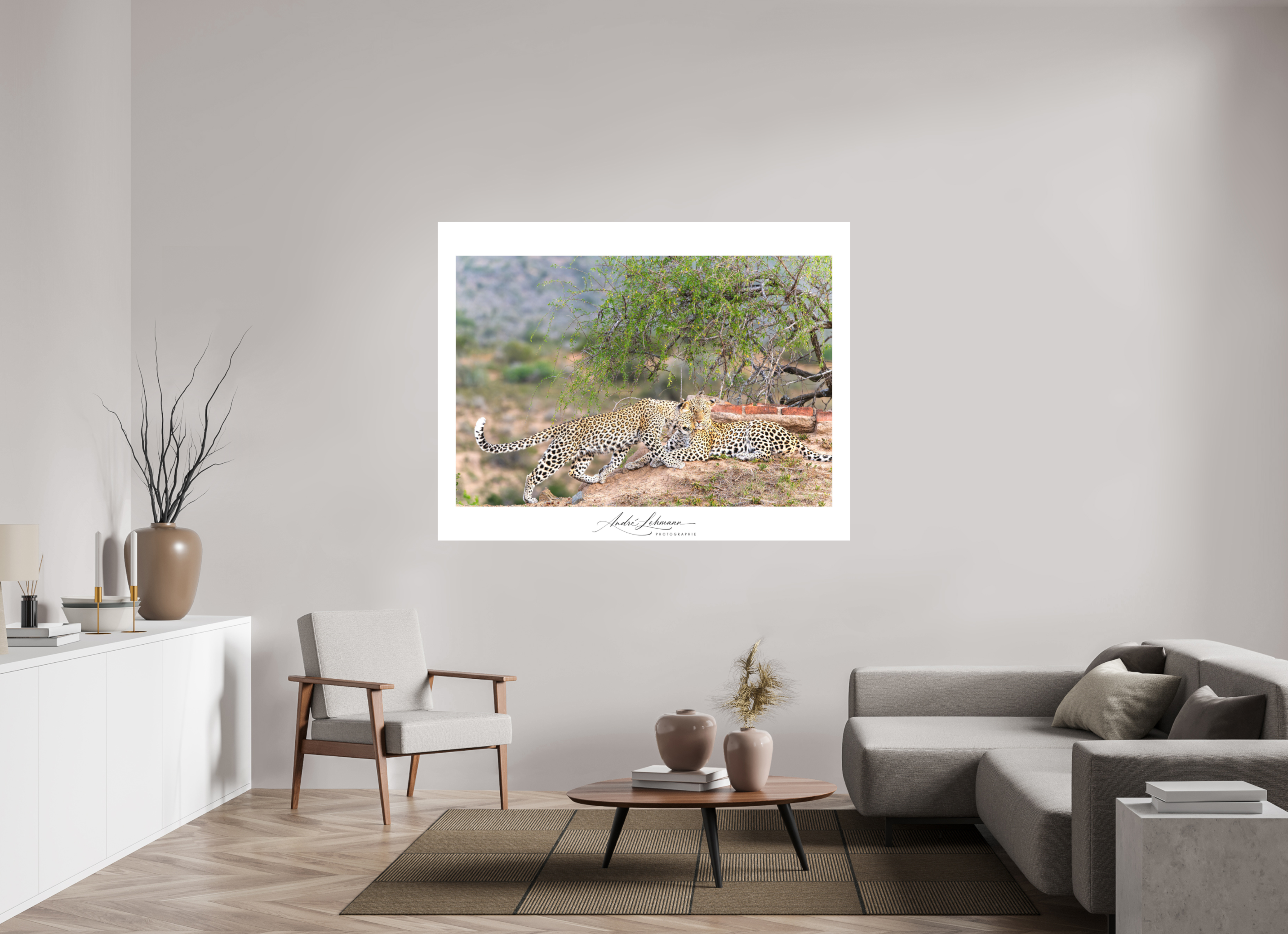 168.1 x 130 cm, Foto-Druck auf Alu-Dibond Two Leopards (Alu Dibond)