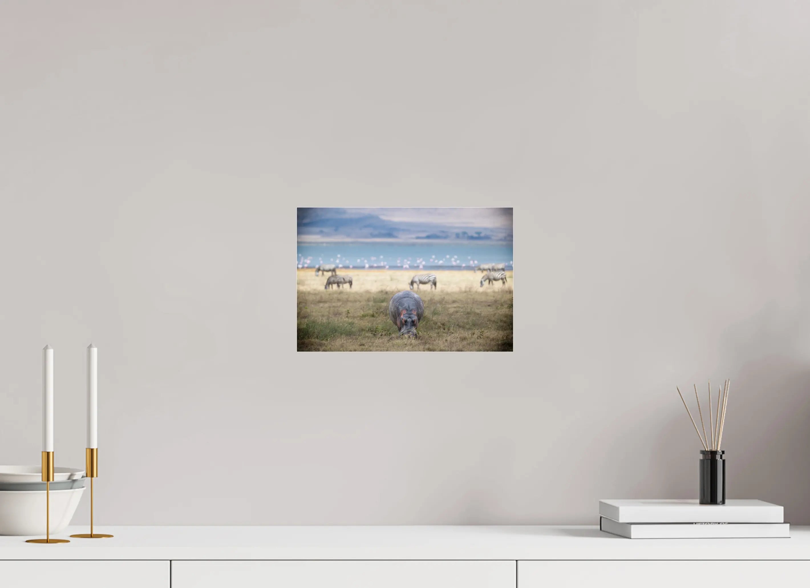 30 x 20 cm, Photo Print Under Acrylic Glass Hippo grazing