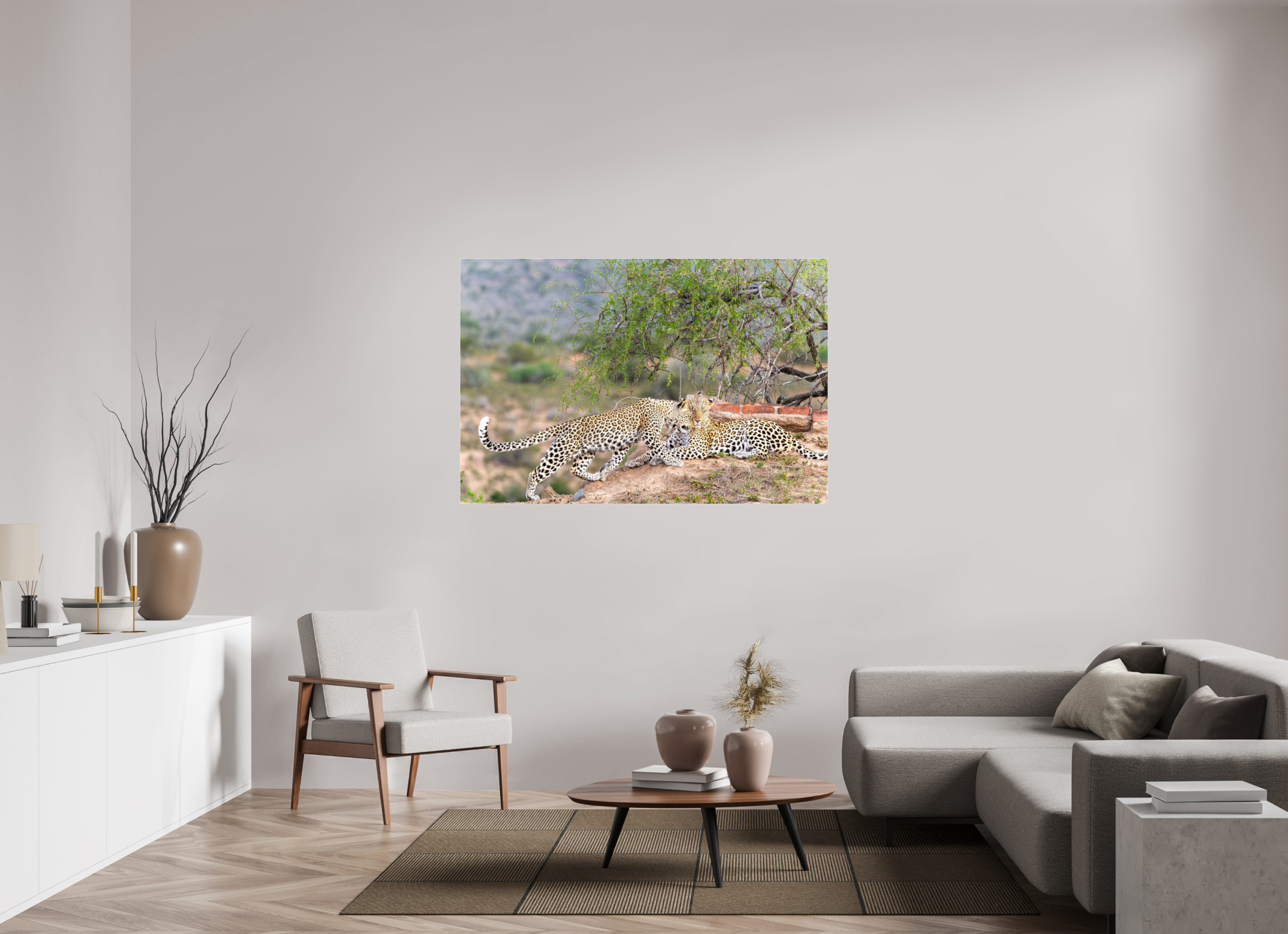 150 x 100 cm, Photo Print Under Acrylic Glass Two Leopards