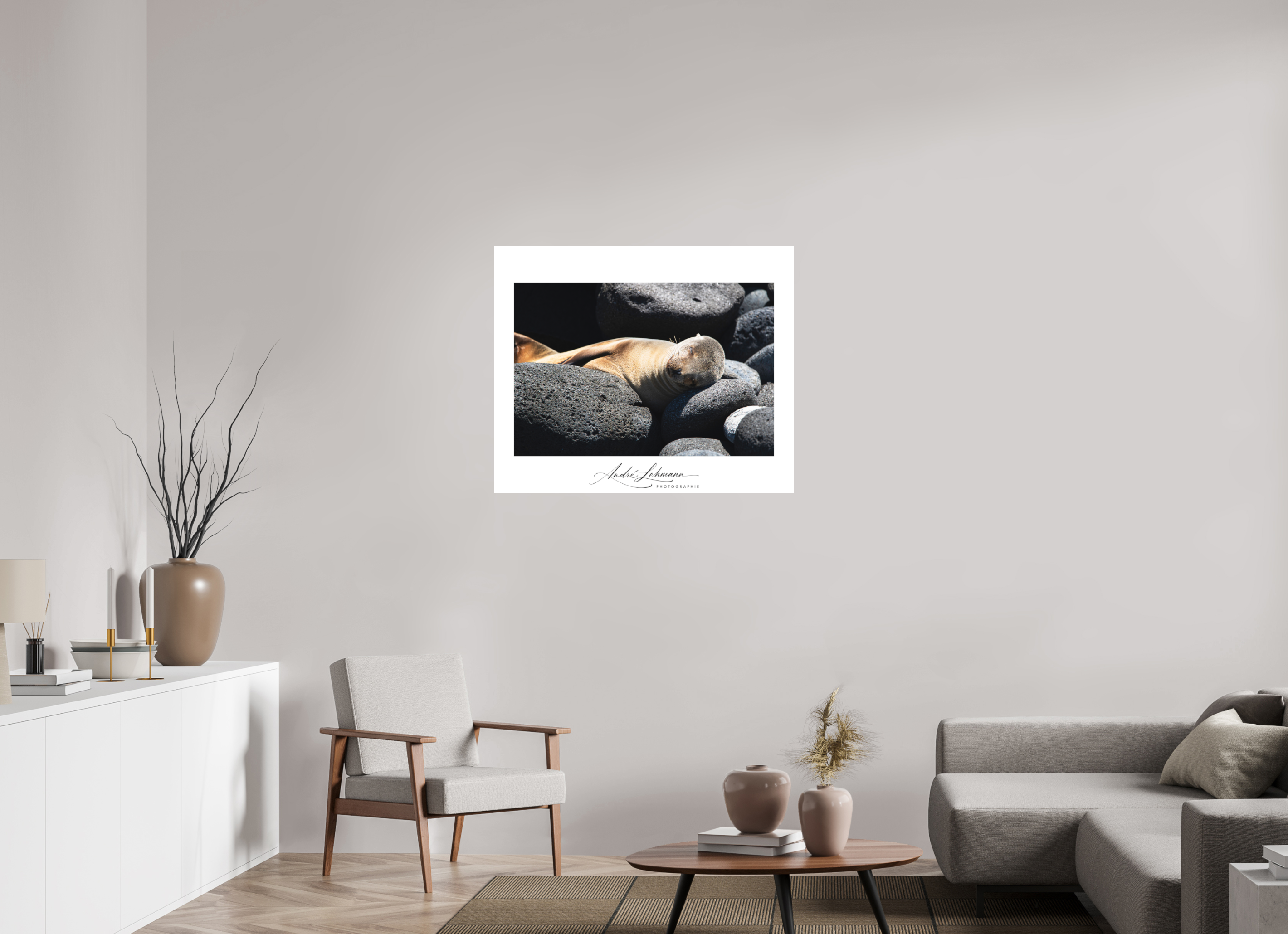 96.8 x 80 cm, Foto-Druck auf Alu-Dibond Galapagos Sea Lion