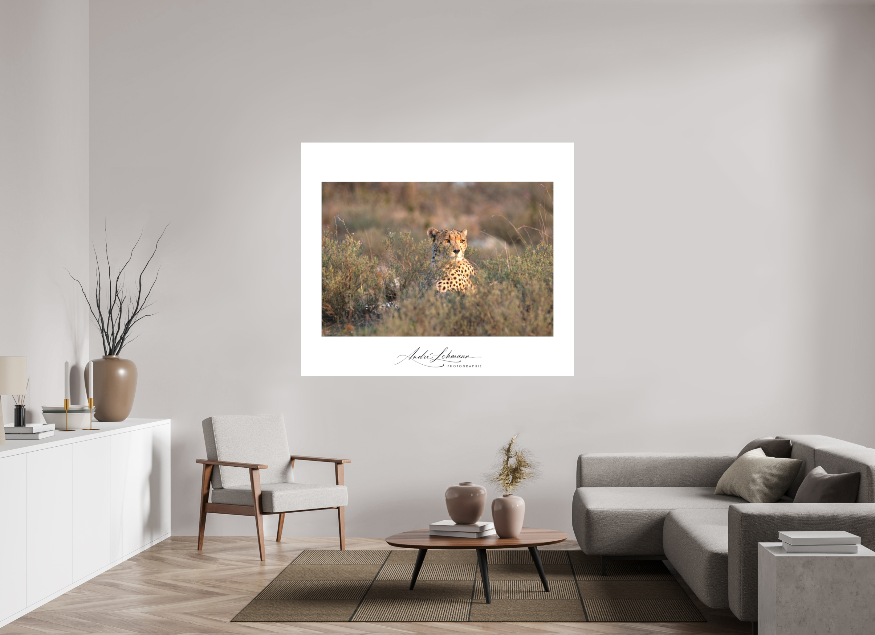 164.2 x 140 cm, Foto-Druck auf Alu-Dibond Cheetah in the grass