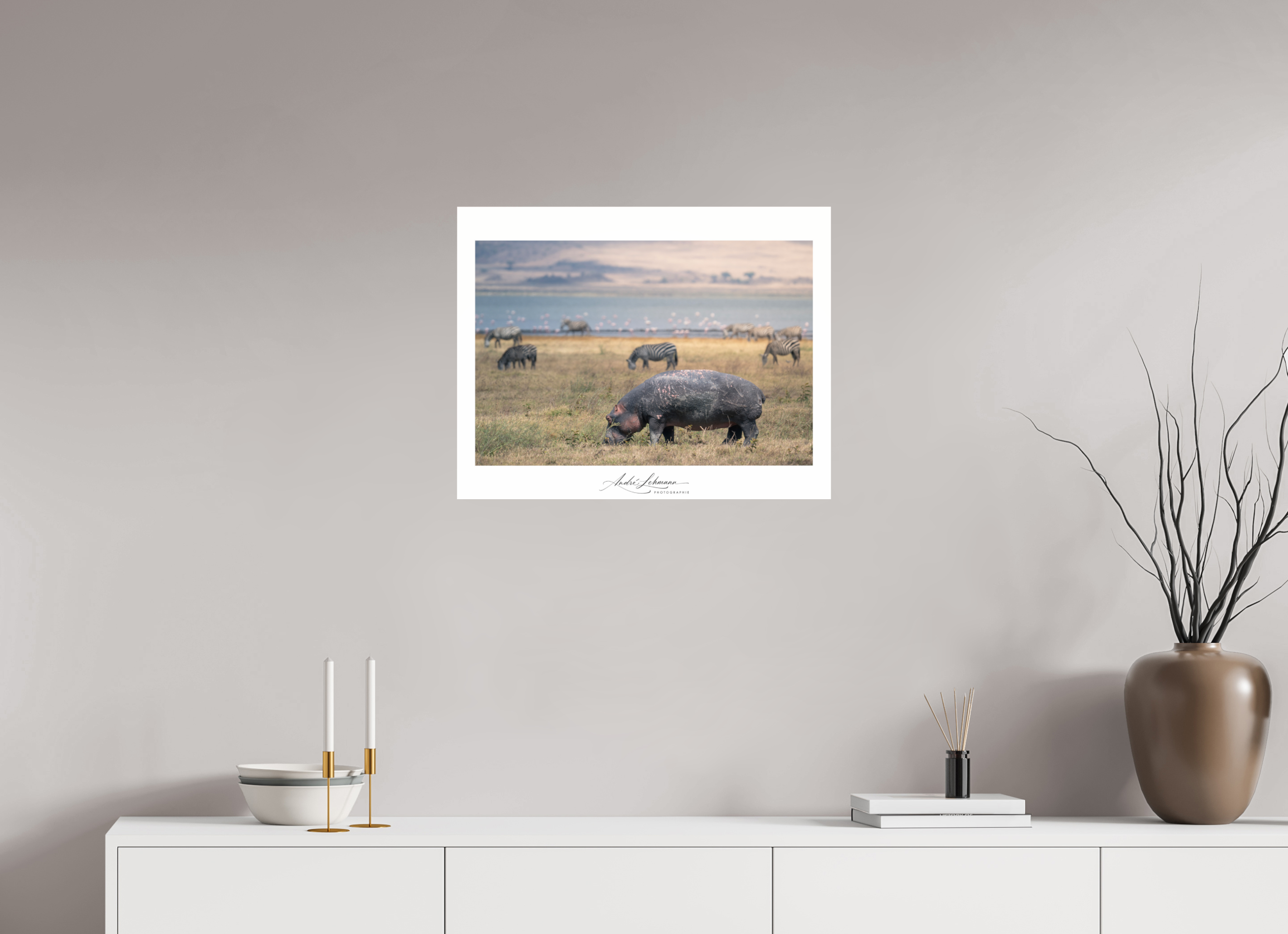 63.9 x 50 cm, Photo Print Under Acrylic Glass Hippo out of the water