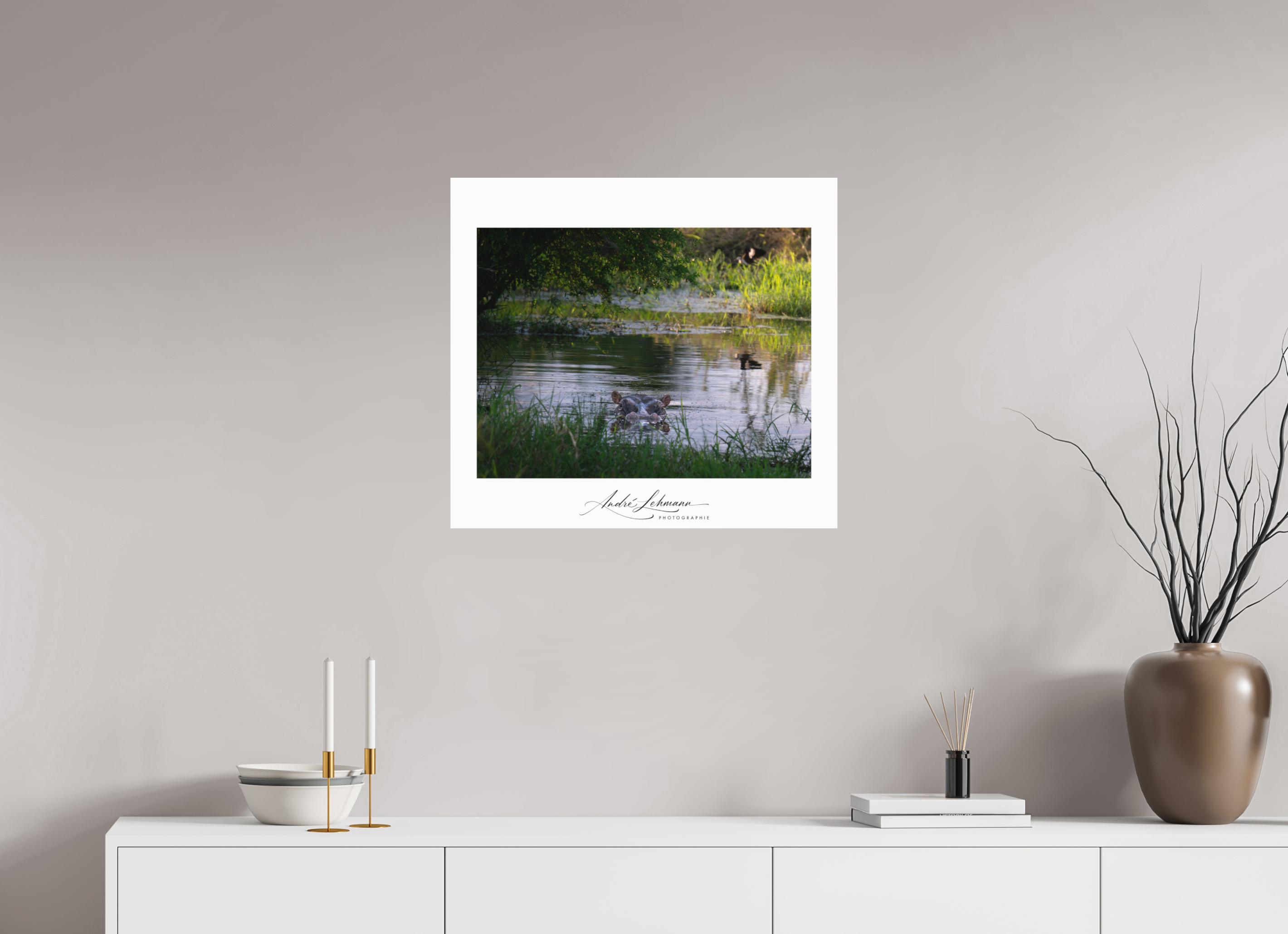 66.2 x 60 cm, Foto-Druck auf Alu-Dibond Hippo in the pond (Alu dibond)