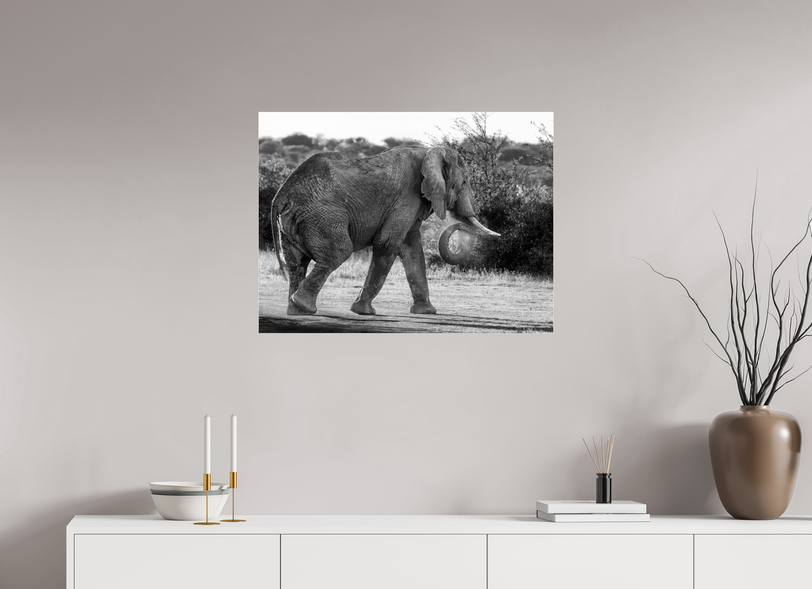 80 x 60 cm, Photo Print Under Acrylic Glass Elephant black and white (no frame)