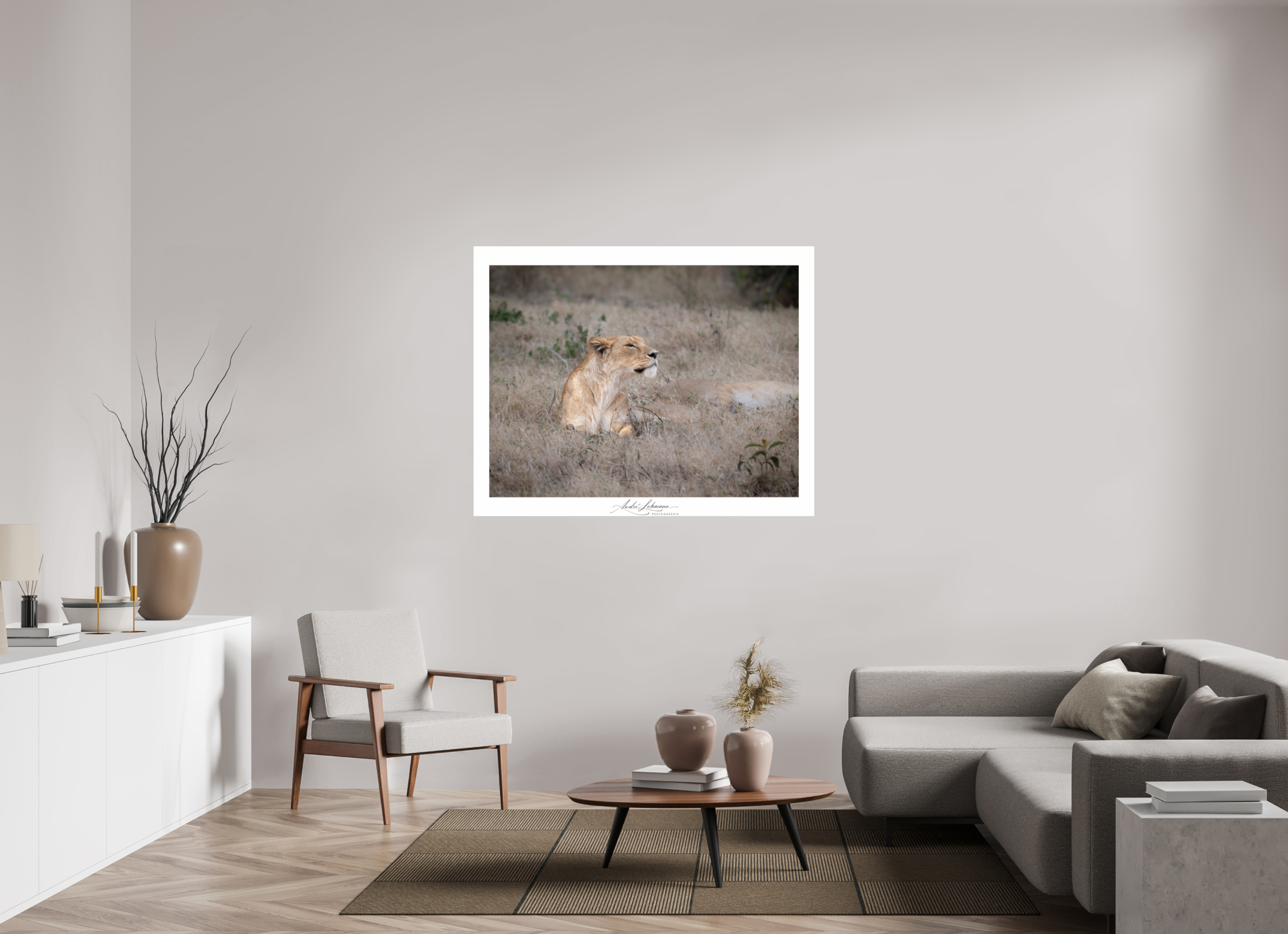 138.9 x 110 cm, Photo Print Under Acrylic Glass An attentive lioness