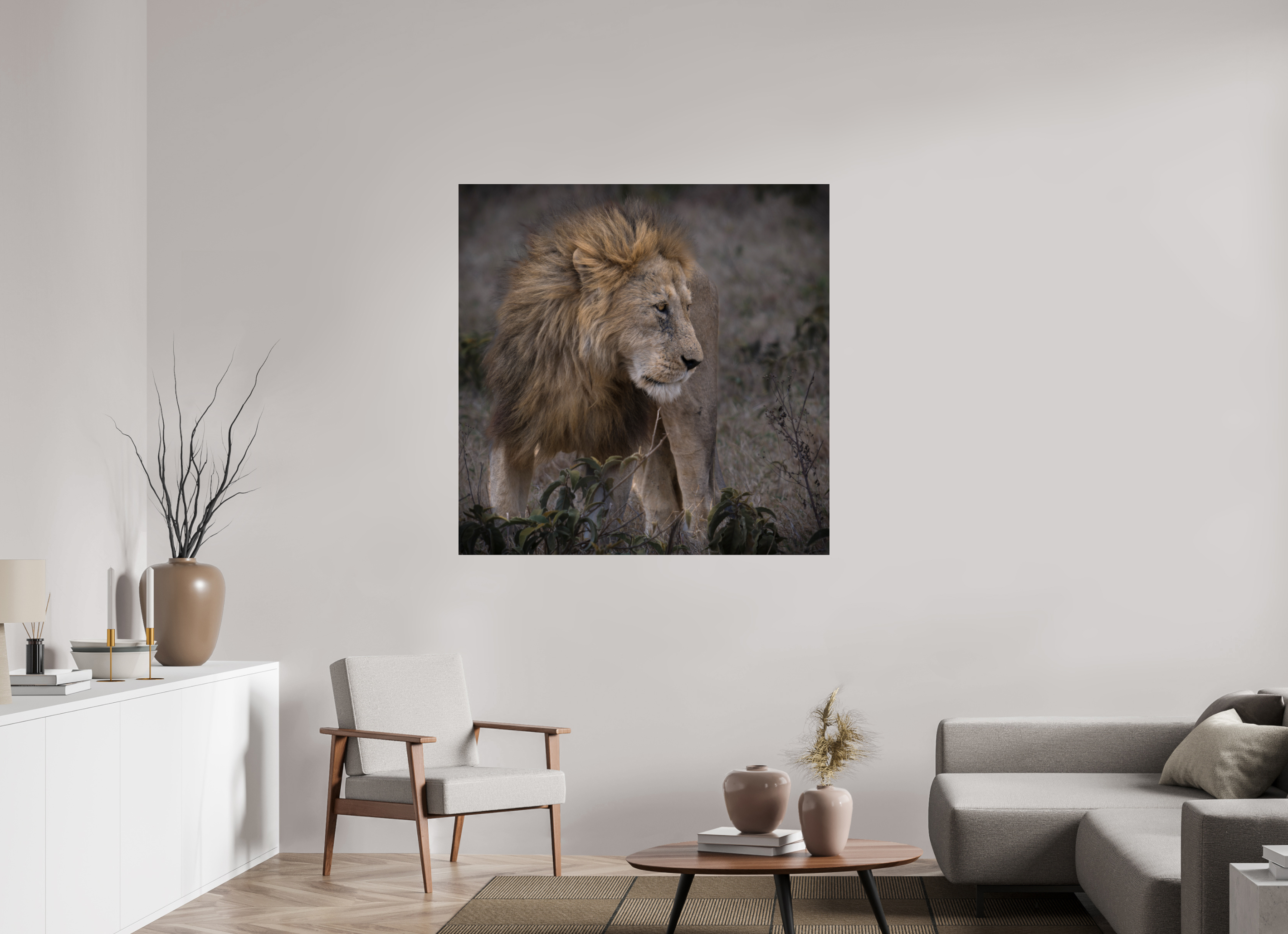 120 x 120 cm, Photo Print Under Acrylic Glass Male lion