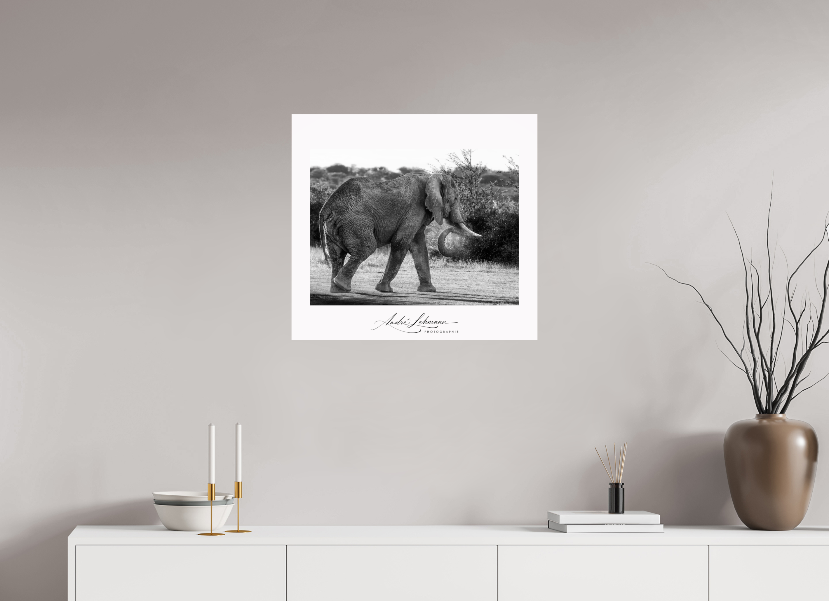 65.3 x 60 cm, Photo Print Under Acrylic Glass Elephant black and white