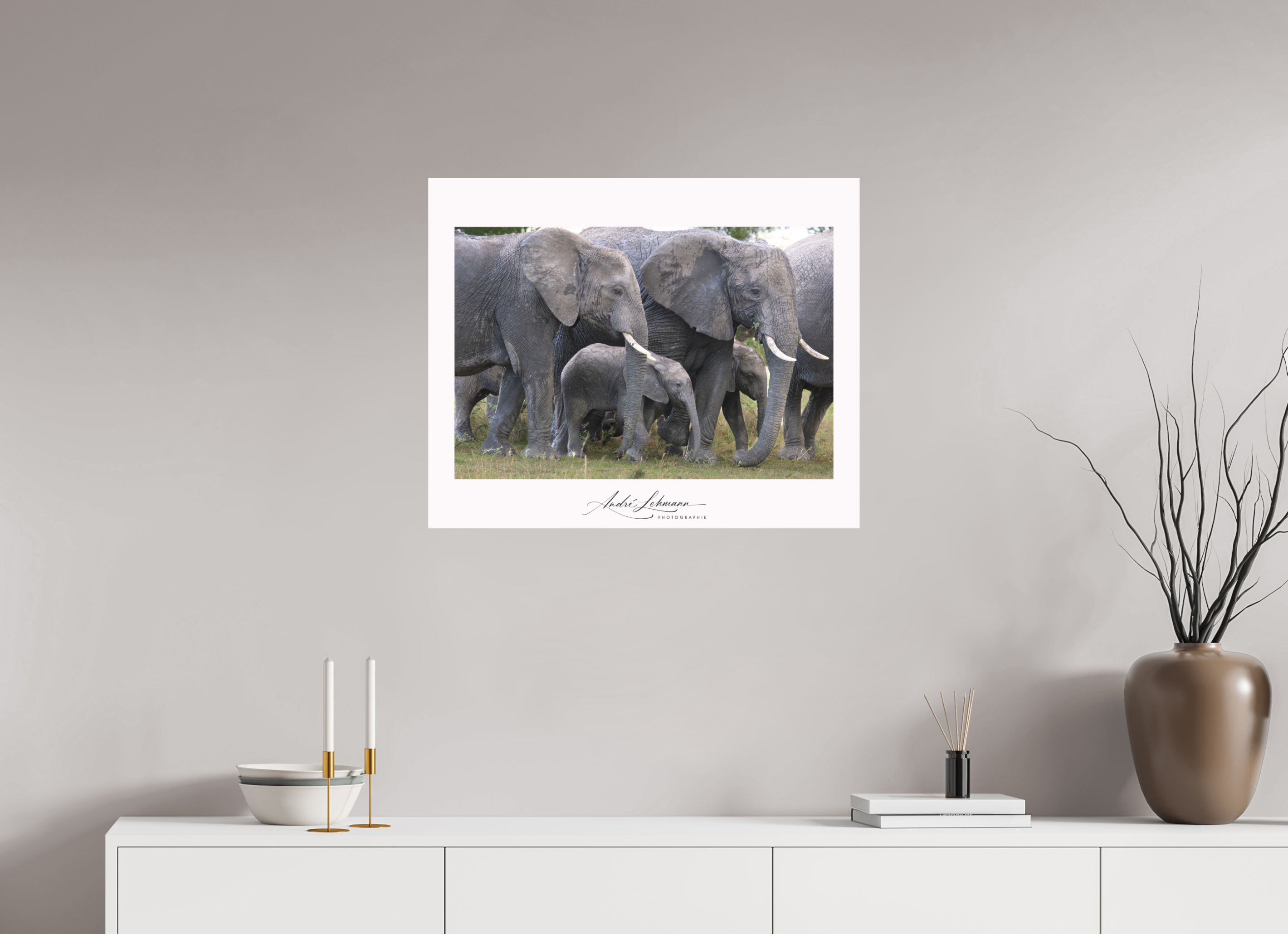 73.8 x 60 cm, Foto-Druck auf Alu-Dibond Elephant calf