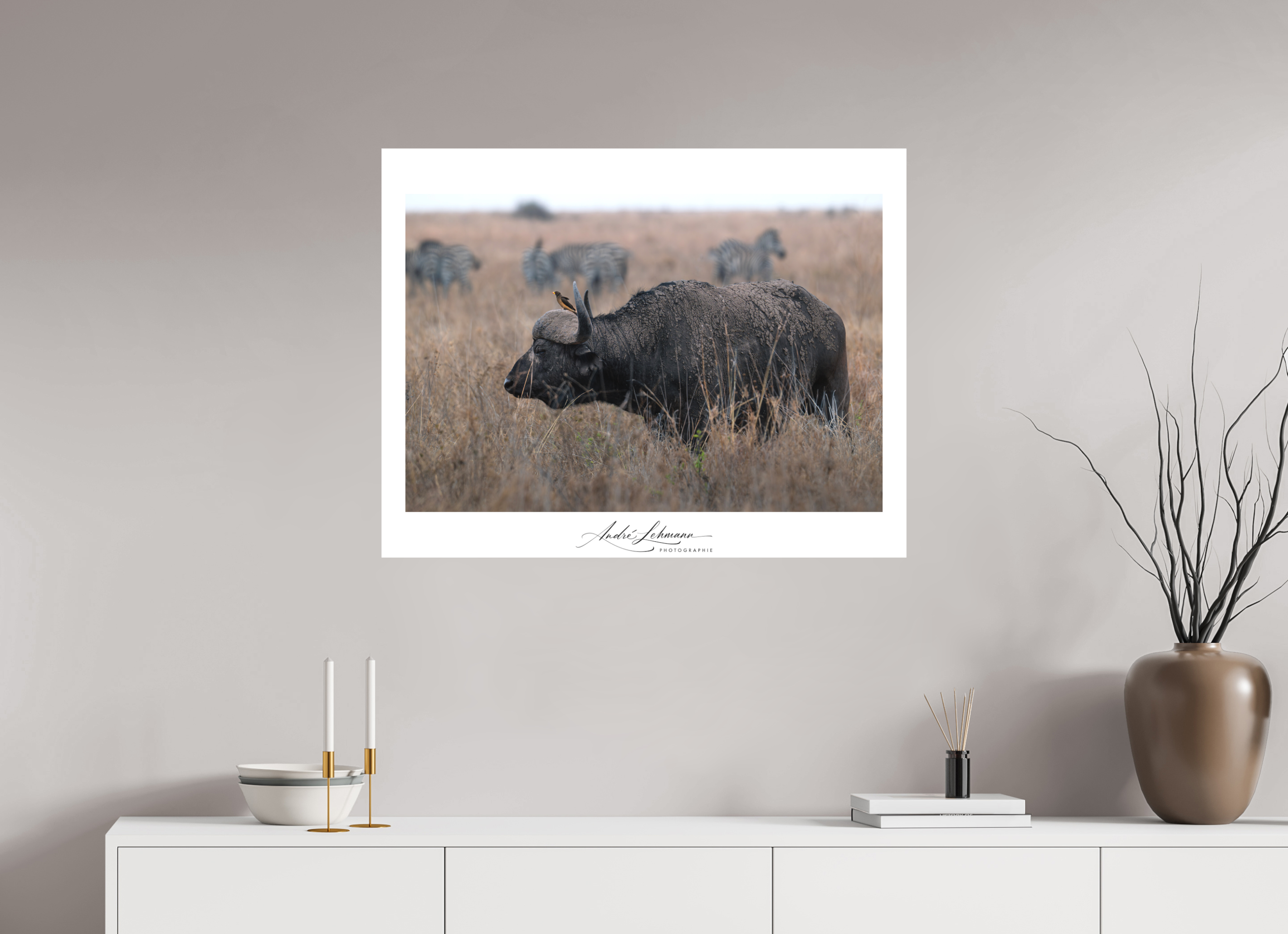 89.8 x 70 cm, Foto-Druck auf Alu-Dibond African Buffalo (Alu Dibond)