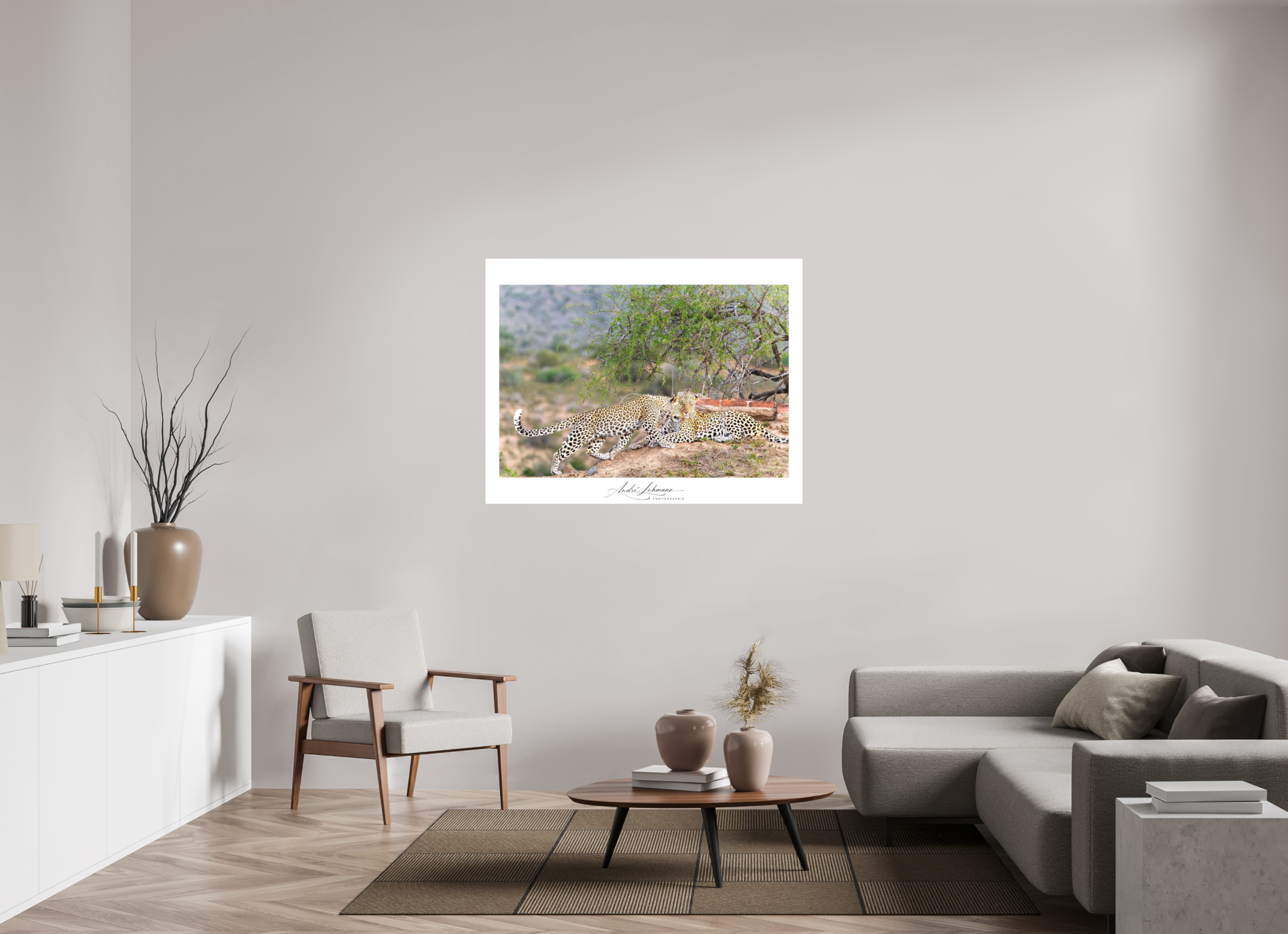 129.3 x 100 cm, Foto-Druck auf Alu-Dibond Two Leopards (Alu Dibond)