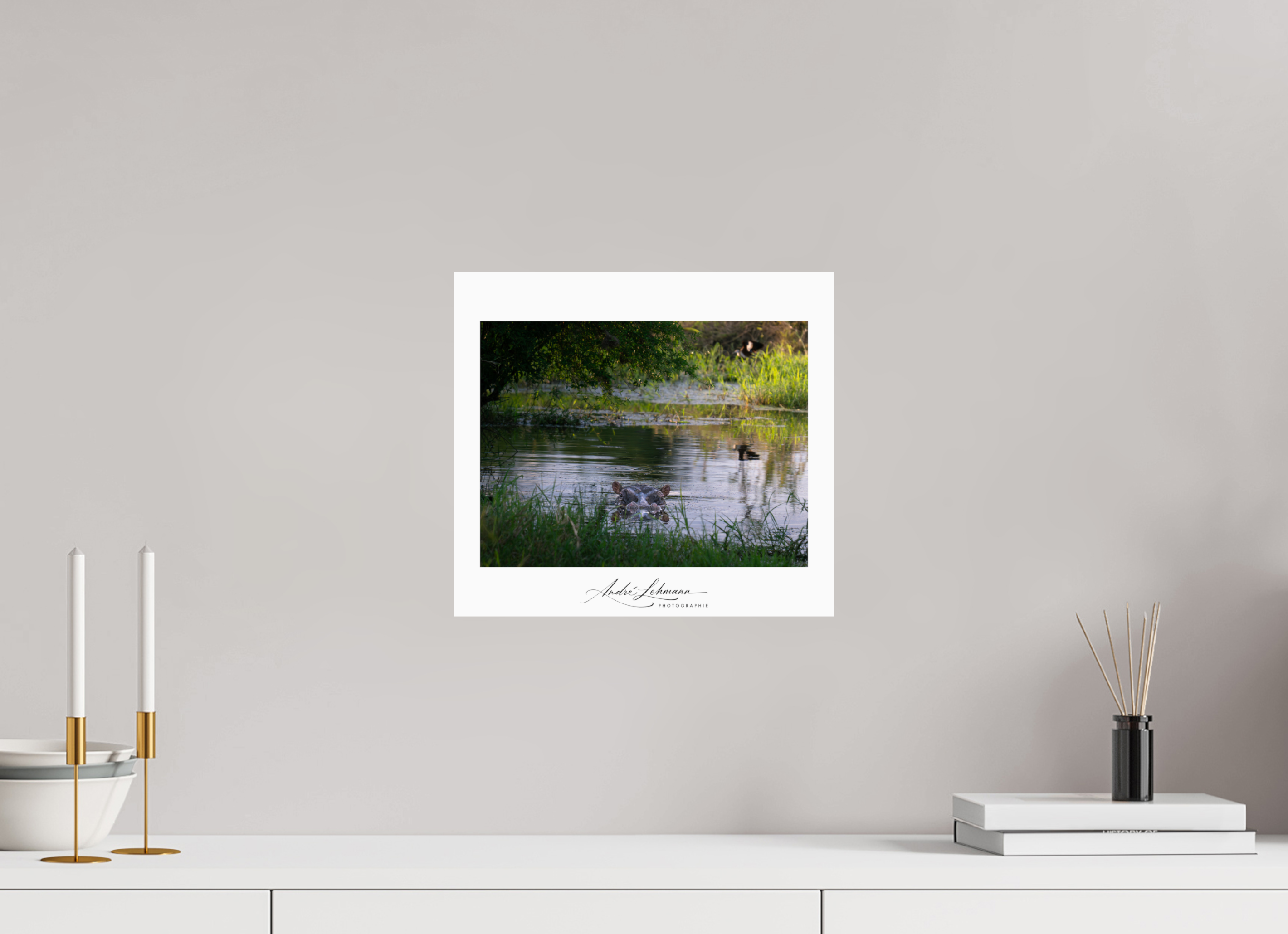 33.1 x 30 cm, Photo Print Under Acrylic Glass Hippo in the pond