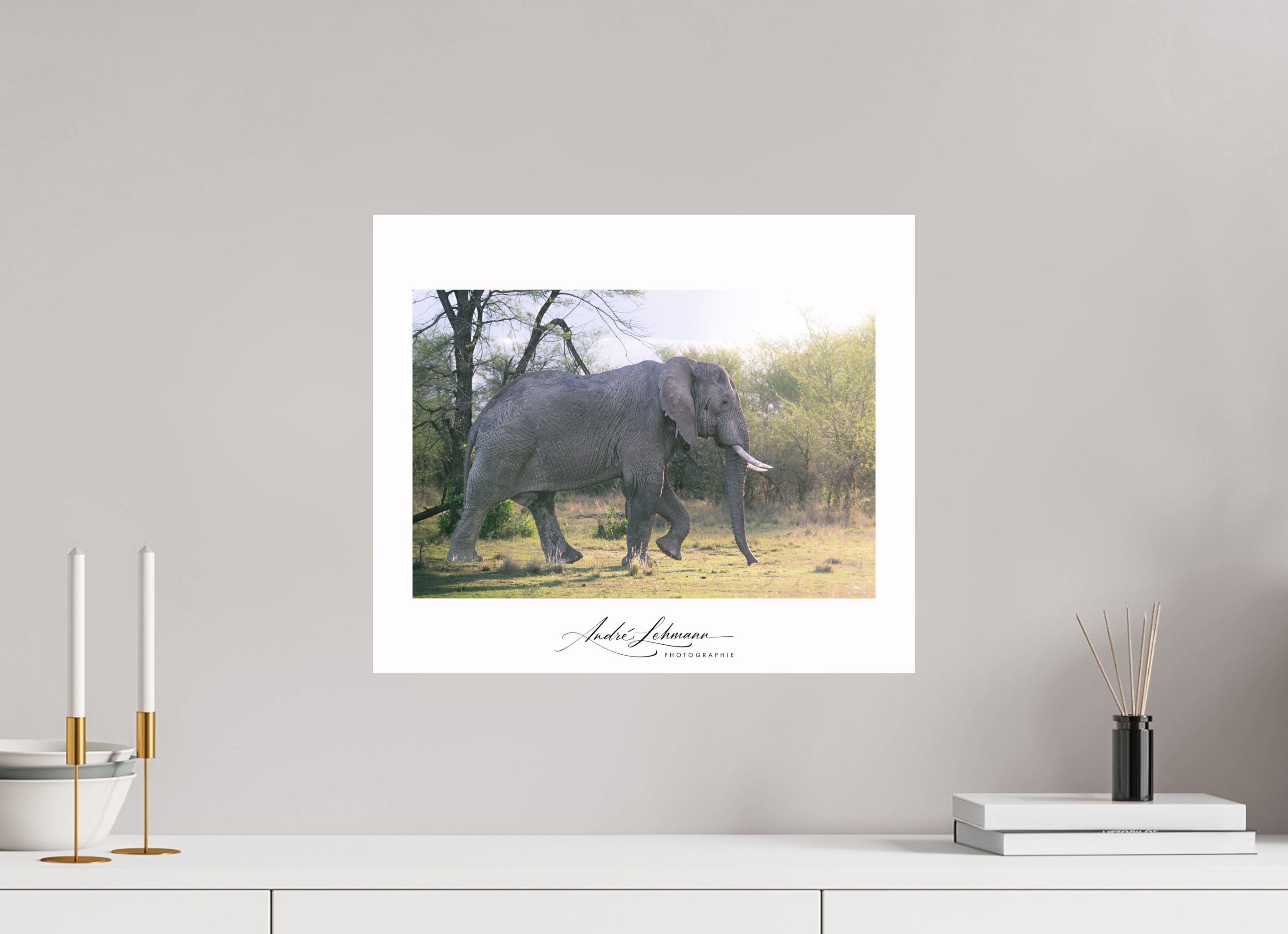 47.3 x 40 cm, Foto-Druck auf Alu-Dibond Giant walking