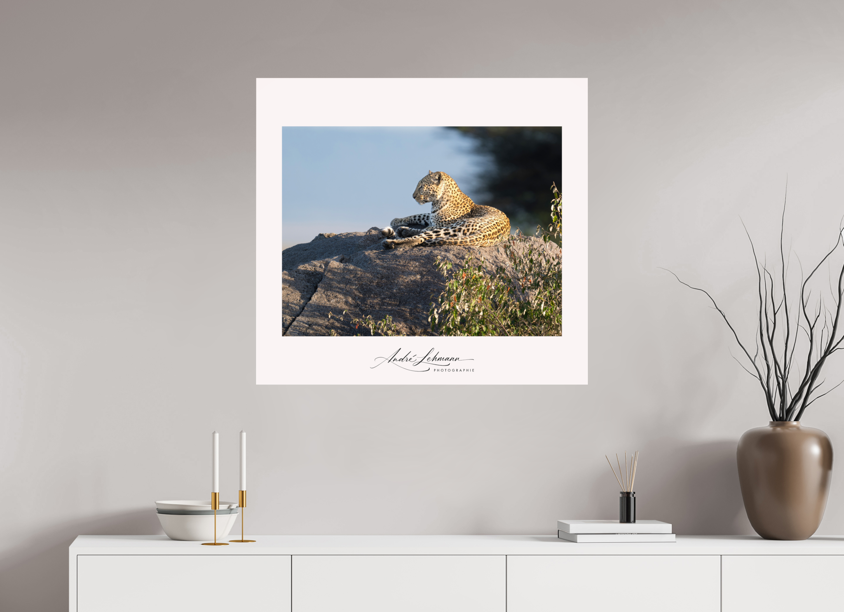86.5 x 80 cm, Photo Print Under Acrylic Glass Leopard scanning the horizon